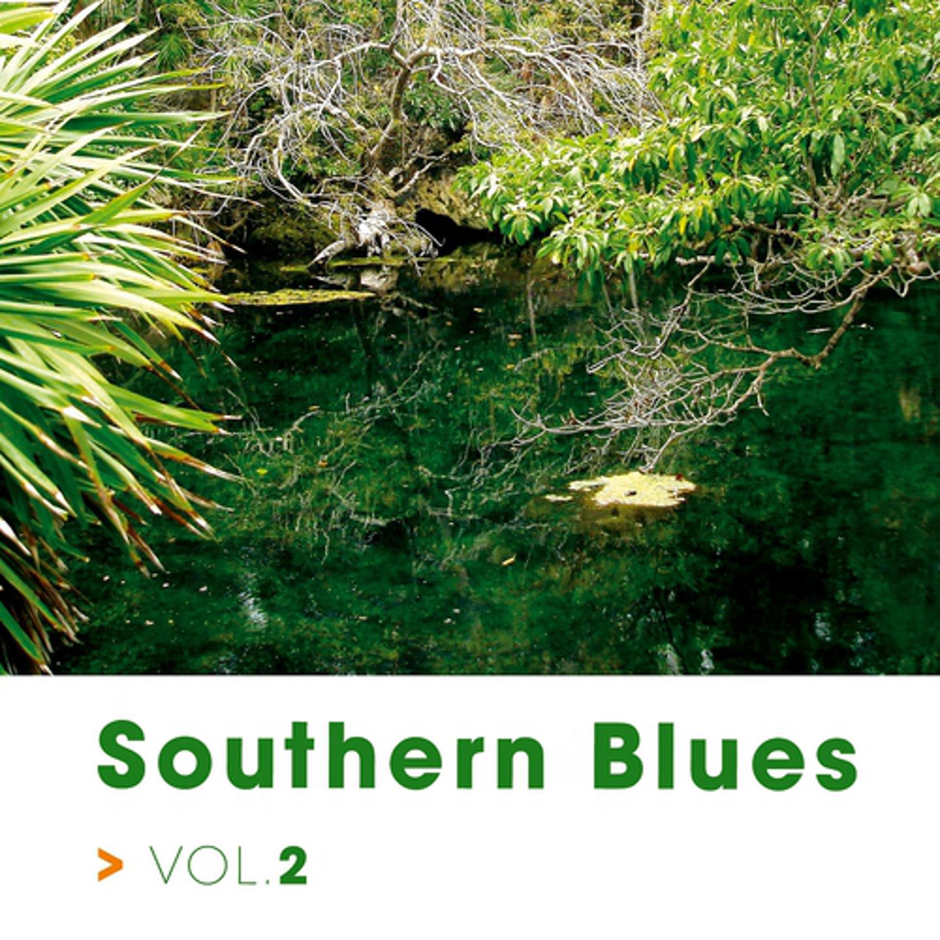 Постер альбома Southern Blues