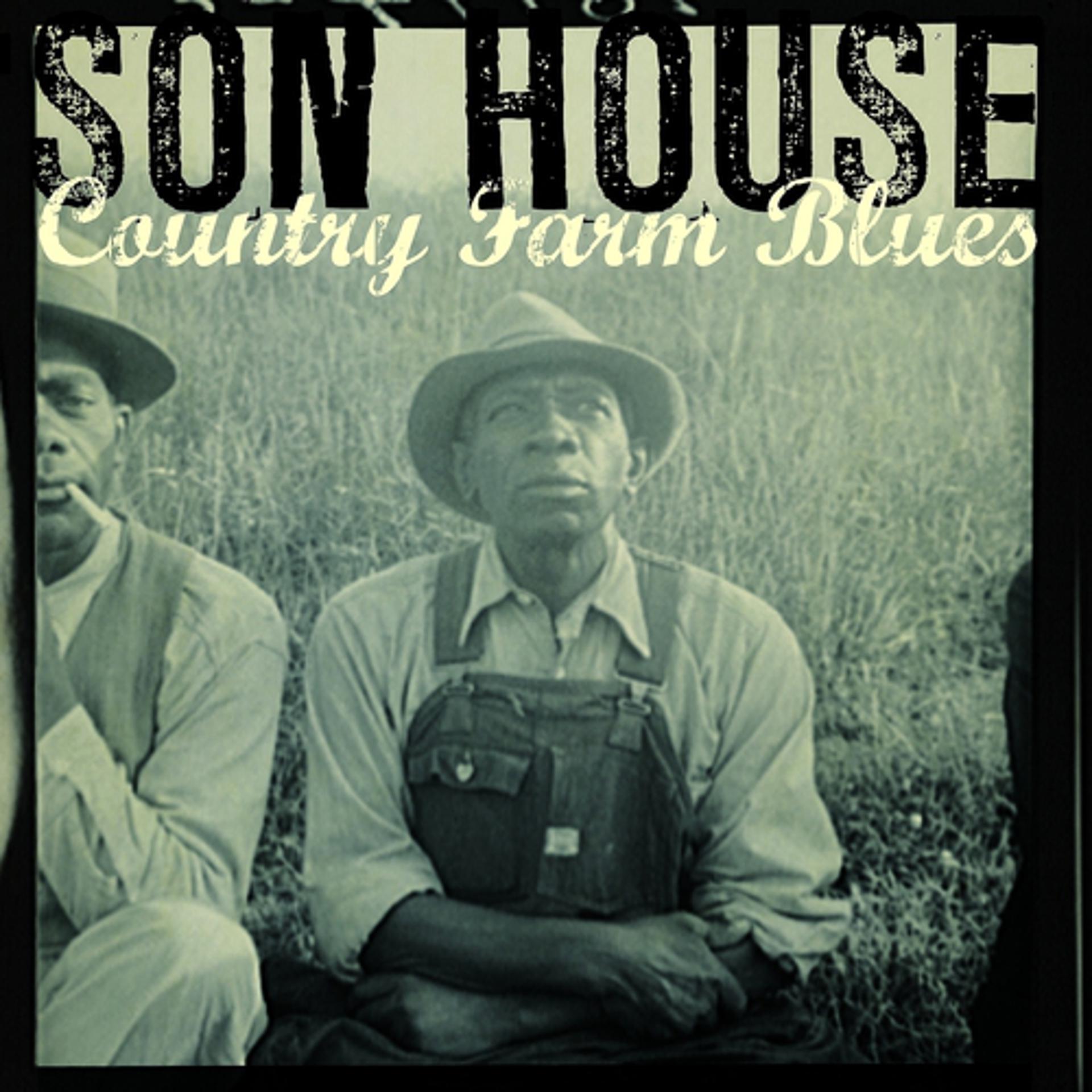 Постер альбома Country Farm Blues