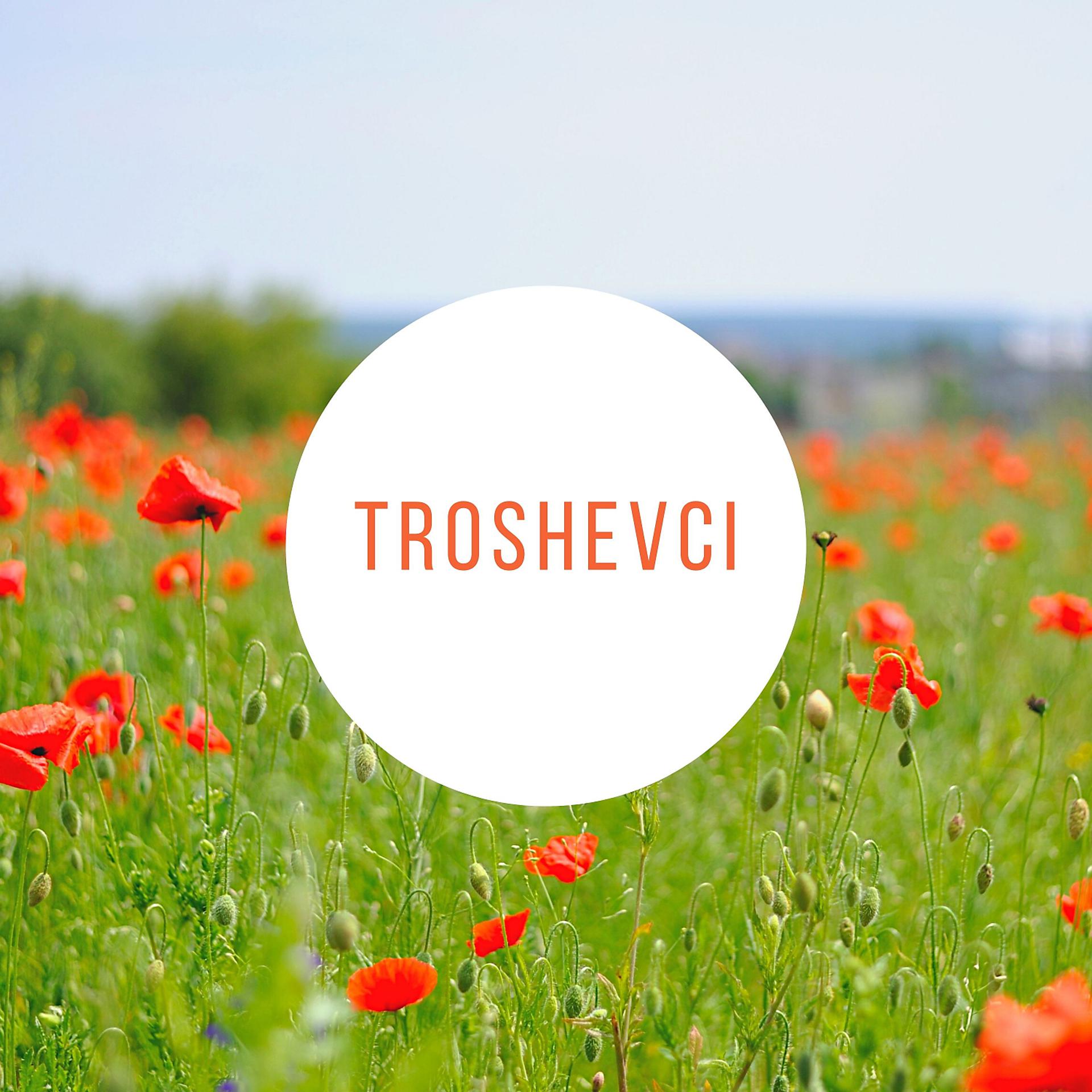 Постер альбома Troshevci