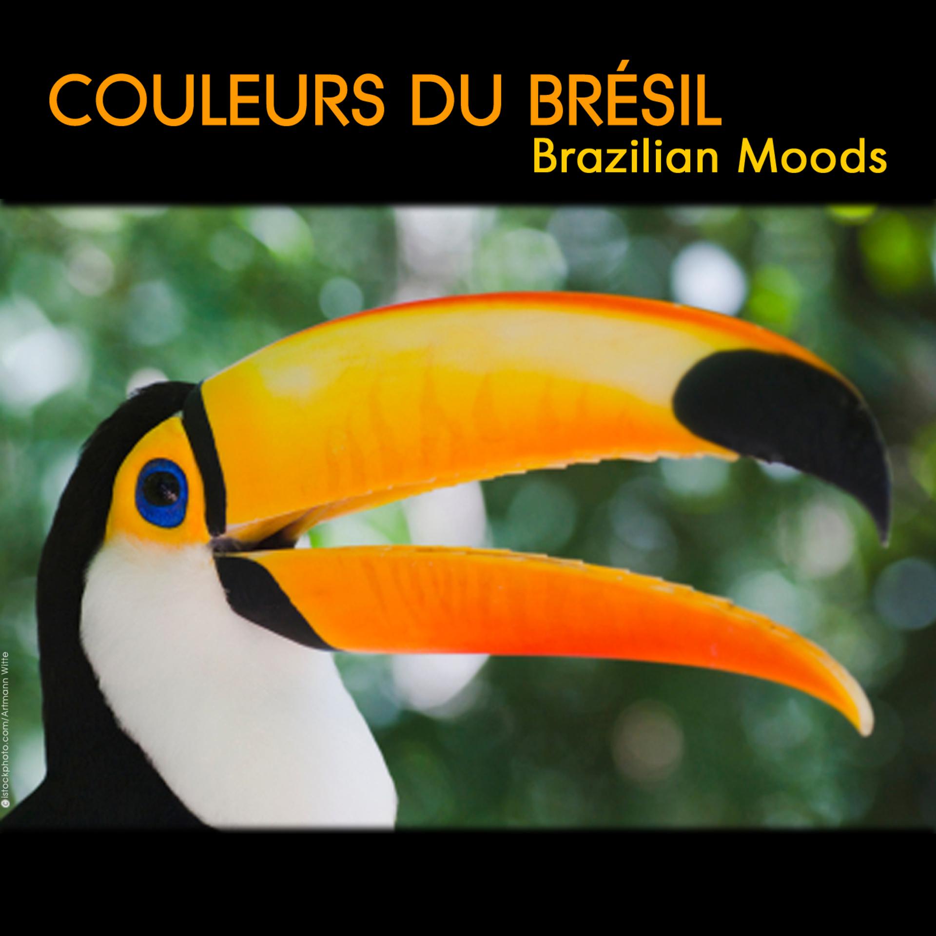Постер альбома Couleurs du Brésil, Instrumental Brazilian Moods, Brazil