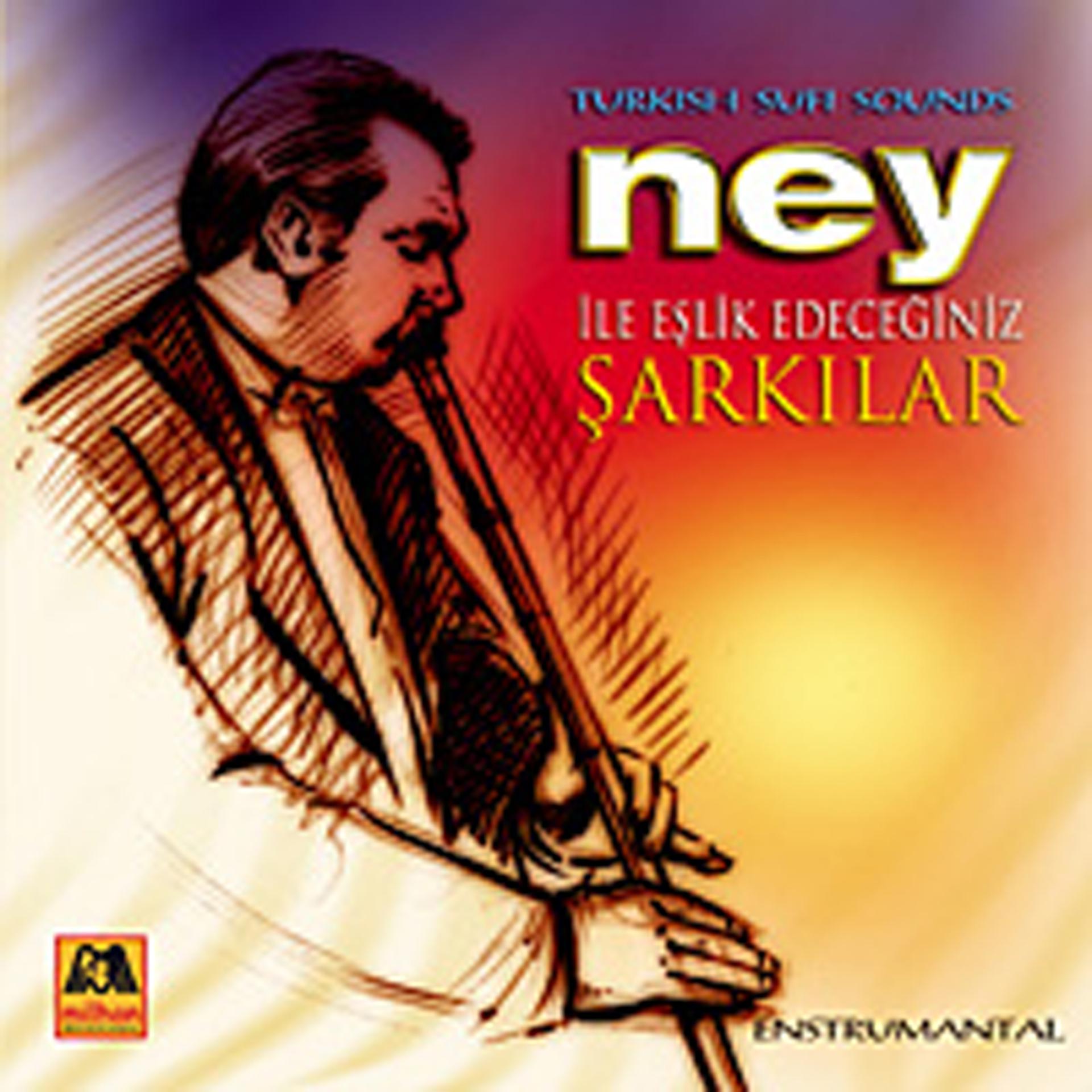 Постер альбома Ney Ile Eslik Edeceginiz Sarkilar (Turkish Sufi Sounds)