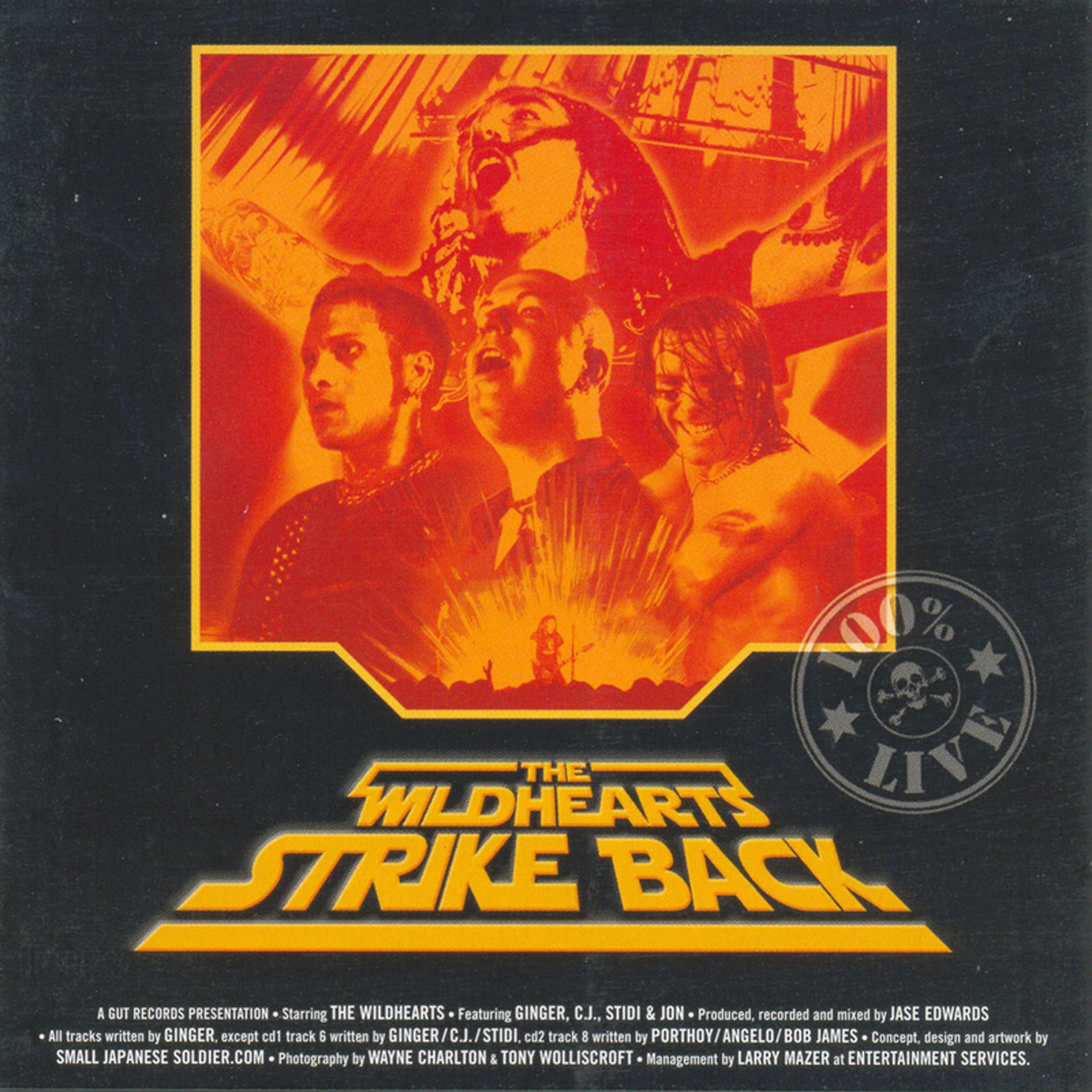 Постер альбома Strike Back