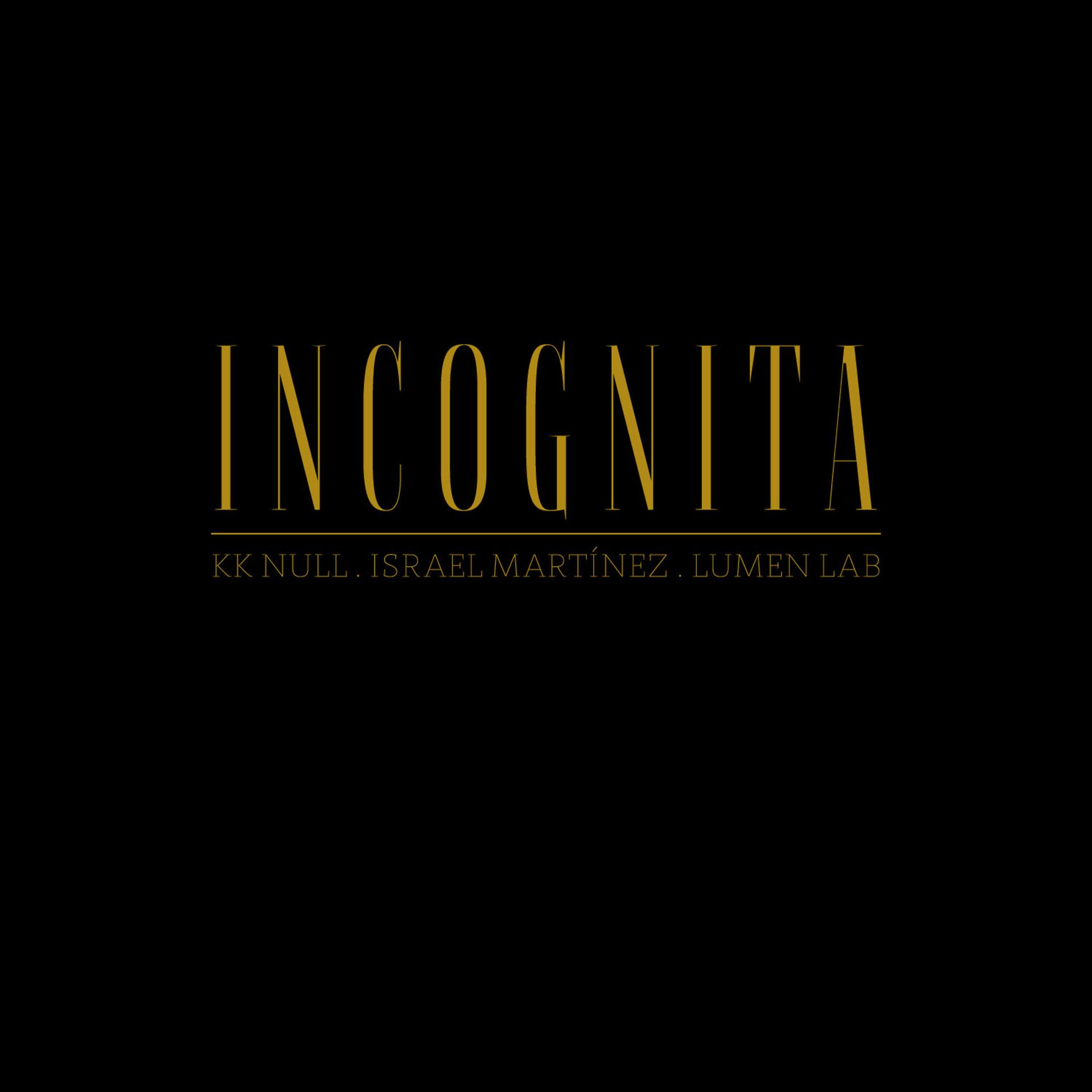 Постер альбома Incognita