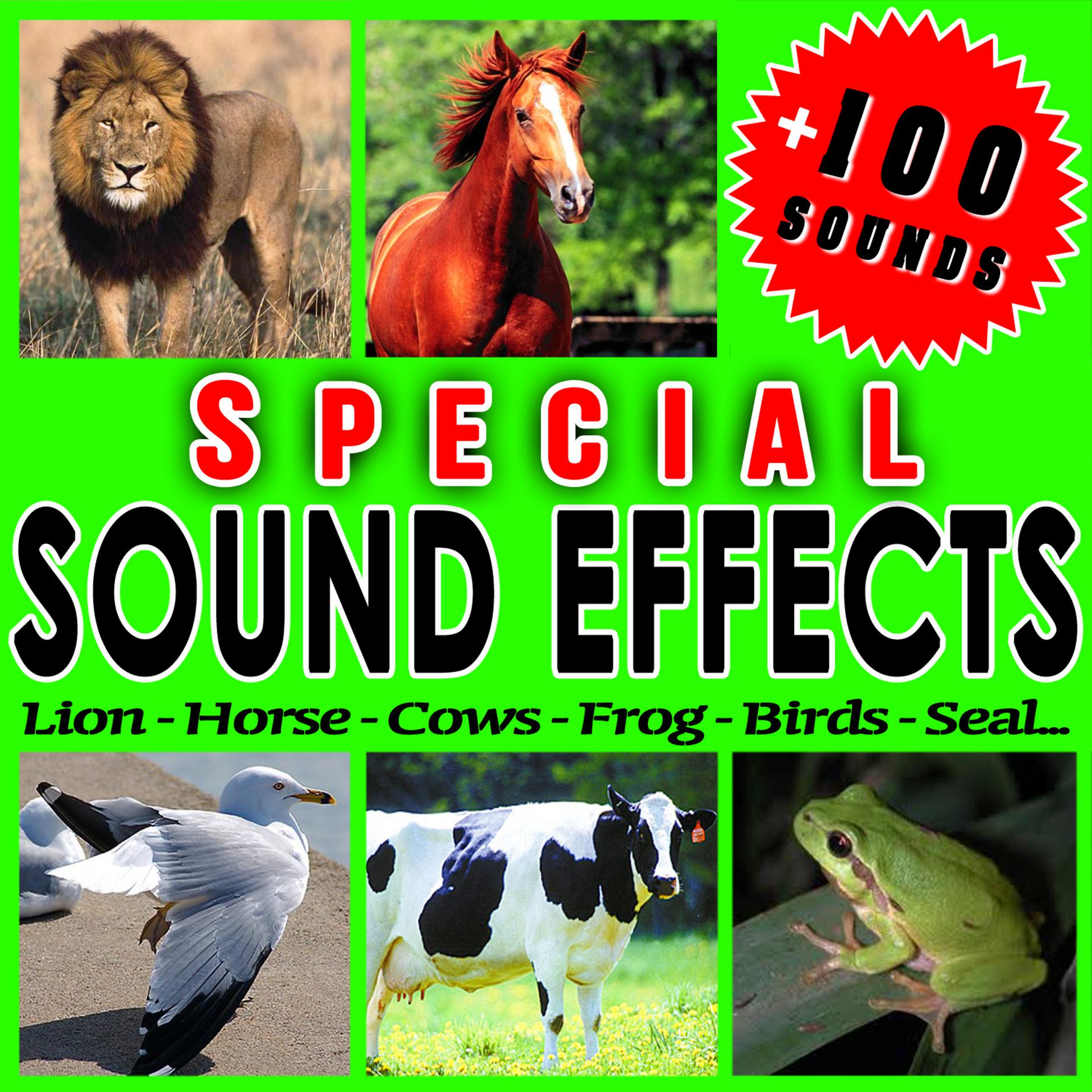 Постер альбома Lion, Horse, Cow, Frog, Bird, Seal... Special Sound Effects.