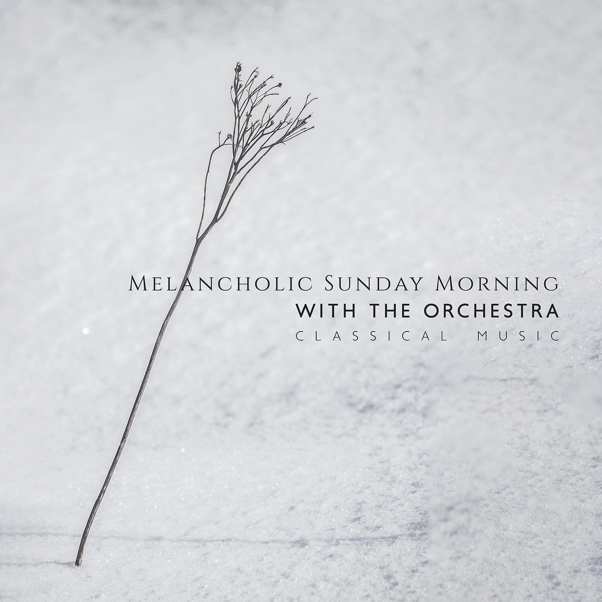 Постер альбома Melancholic Sunday Morning with the Orchestra – Classical Music