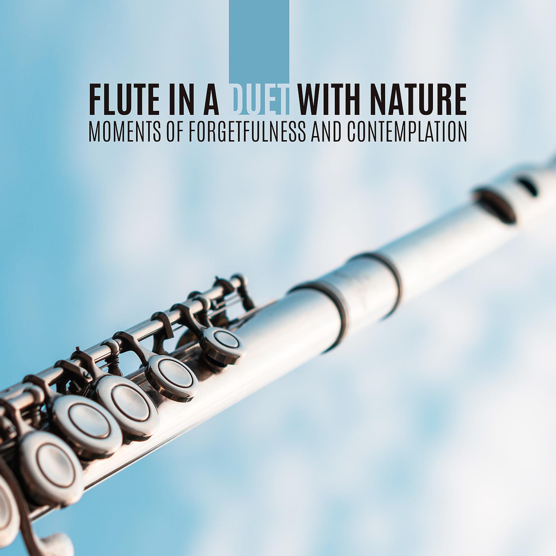 Постер альбома Flute in a Duet with Nature: Moments of Forgetfulness and Contemplation