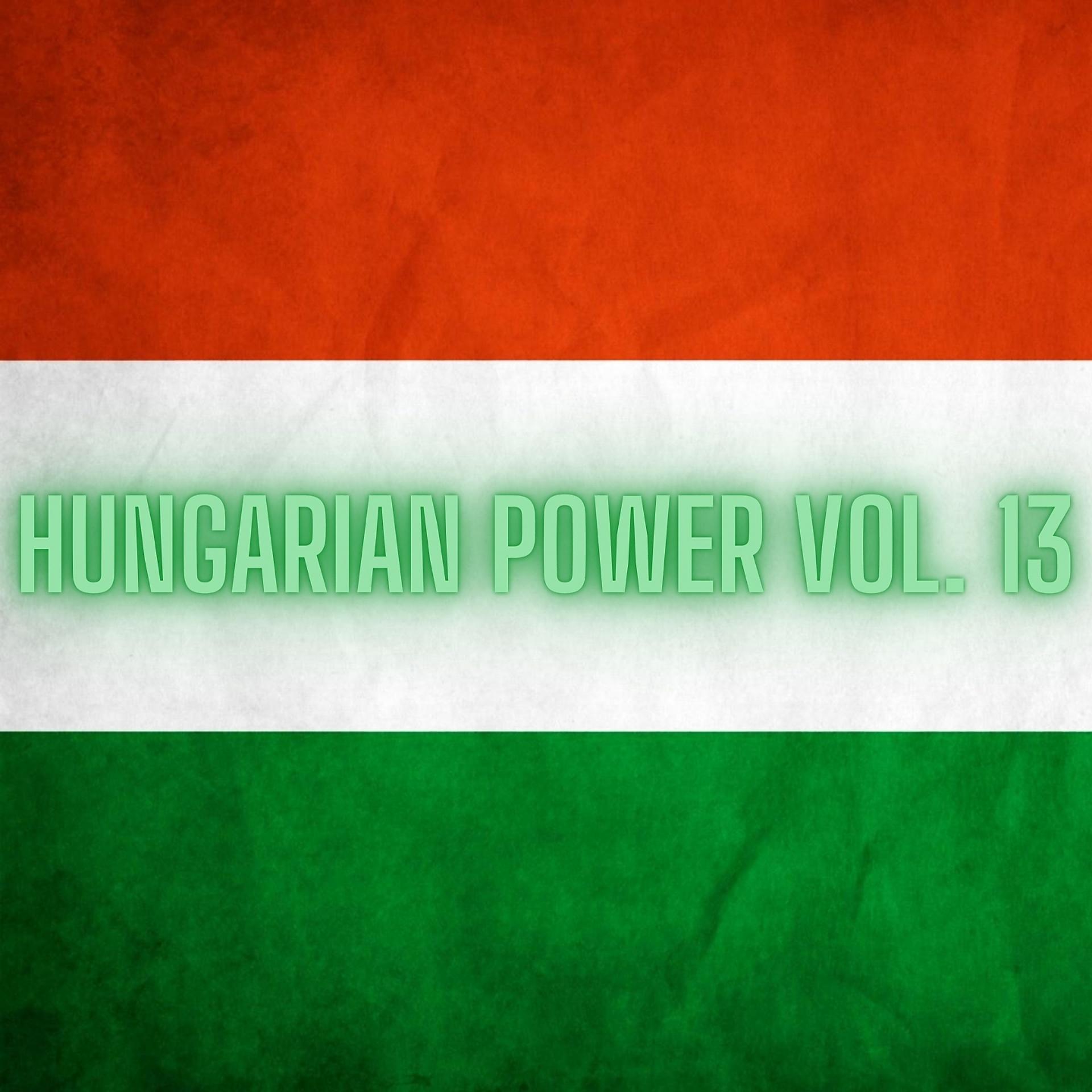 Постер альбома Hungarian Power Vol. 13