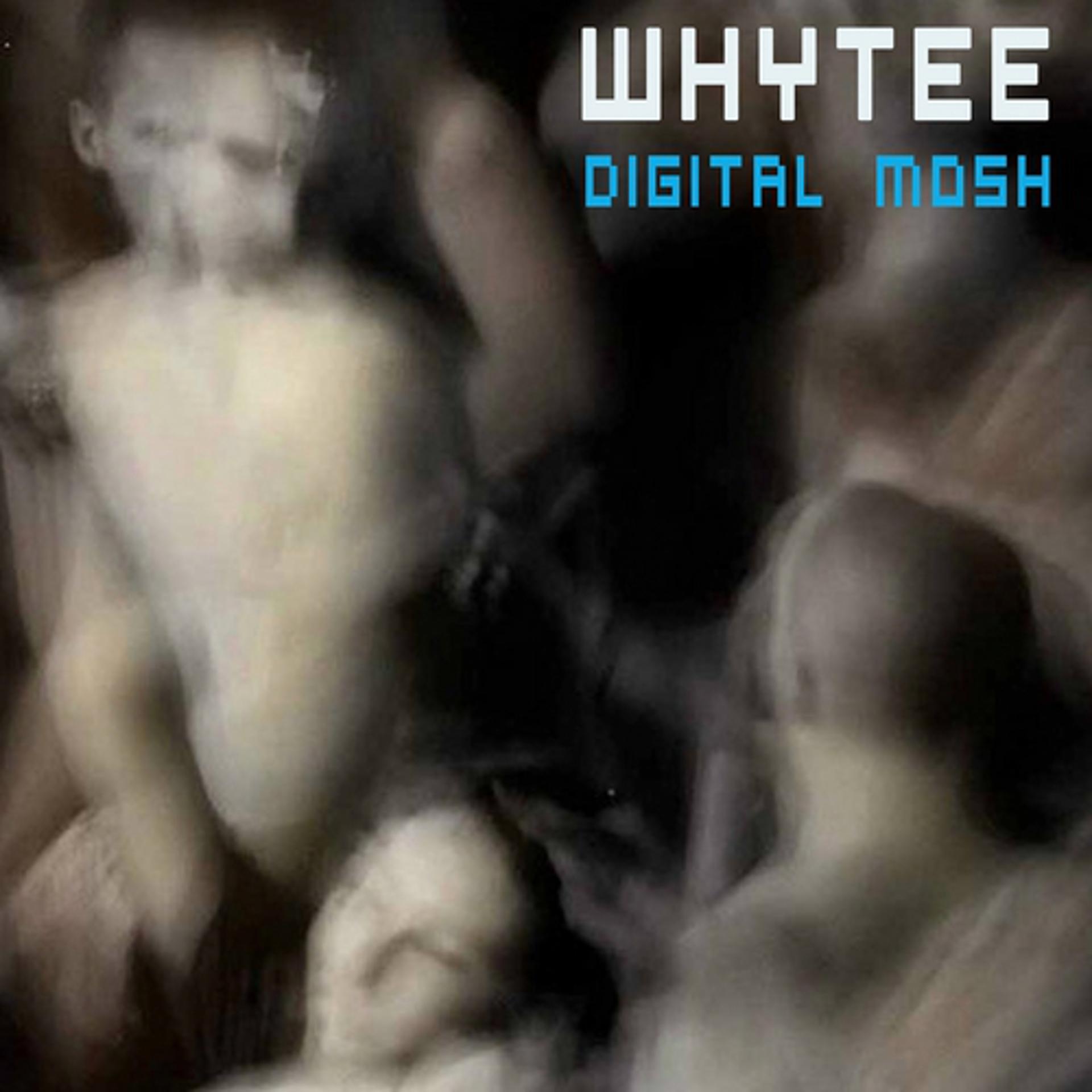 Постер альбома Digital Mosh