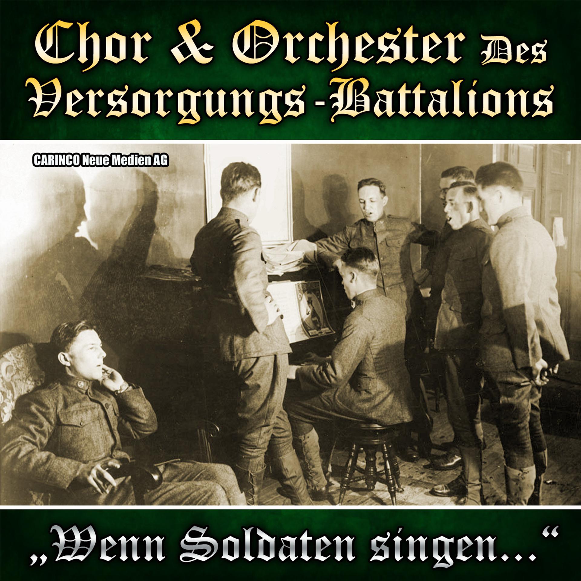 Постер альбома Wenn Soldaten singen