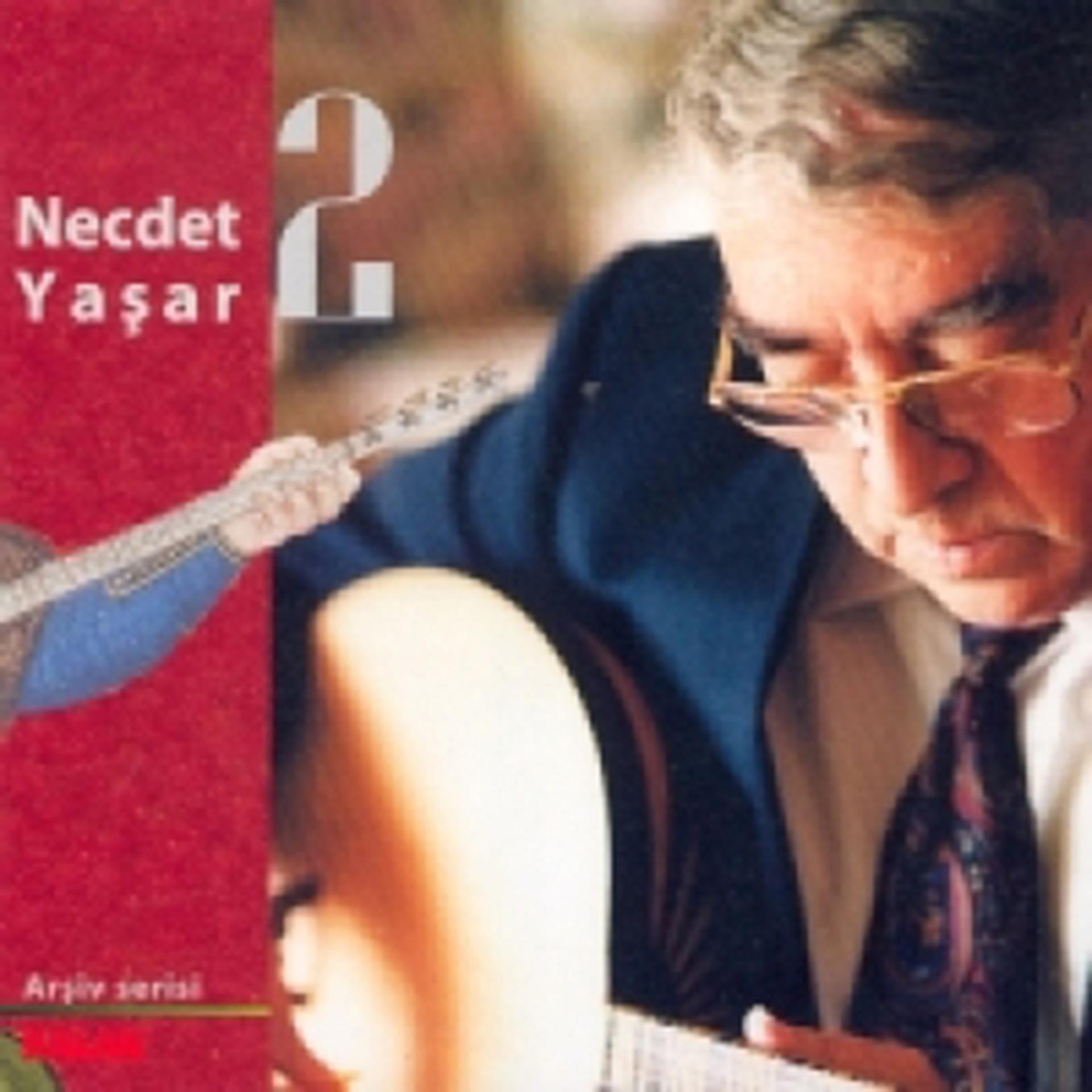Постер альбома Necdet Yaşar 2 Arşiv Serisi