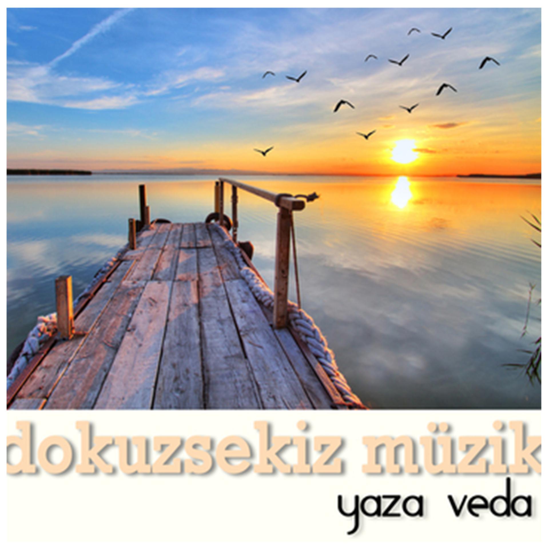 Постер альбома Dokuz Sekiz Müzik Yaza Veda