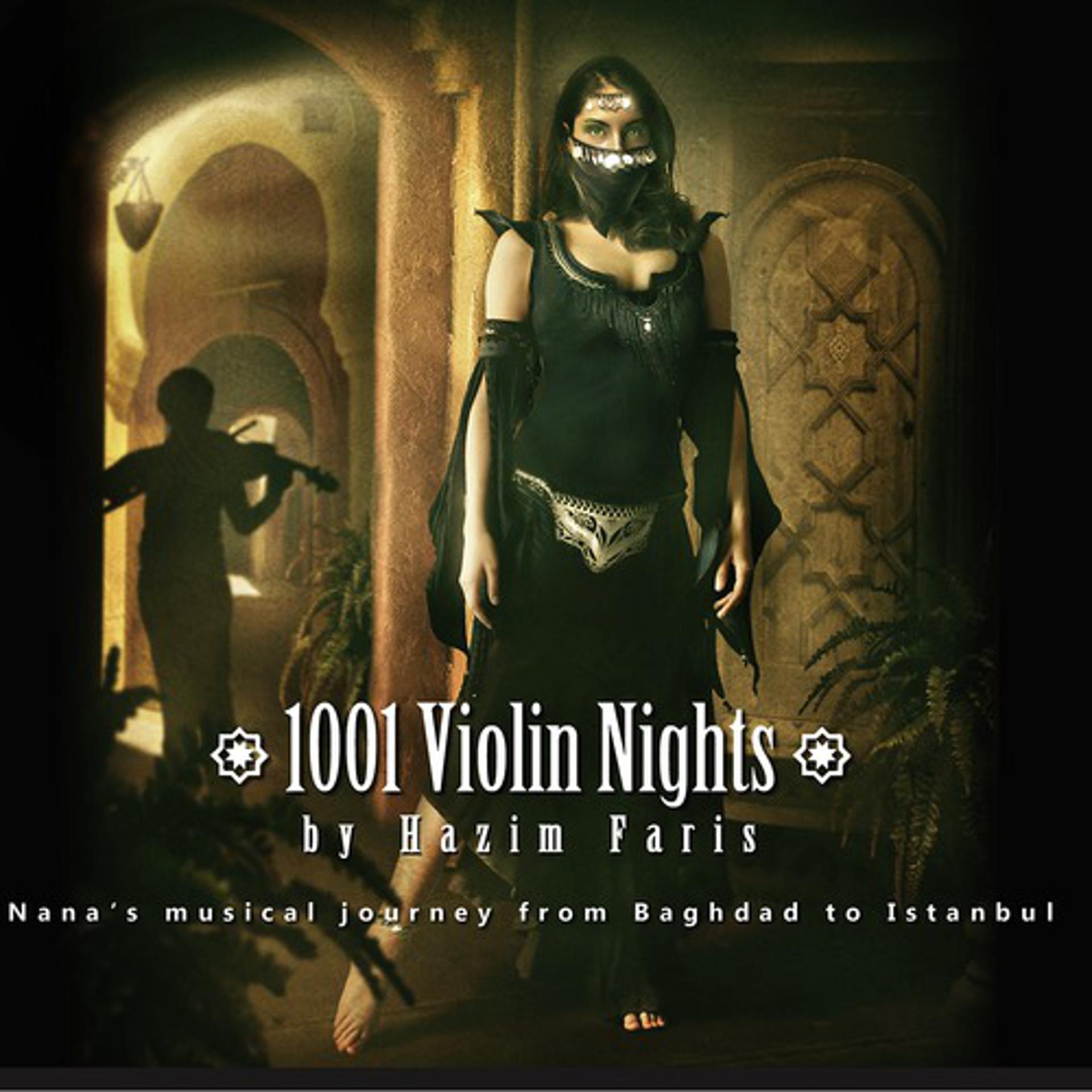 Постер альбома 1001 Violin Nights Party 2011