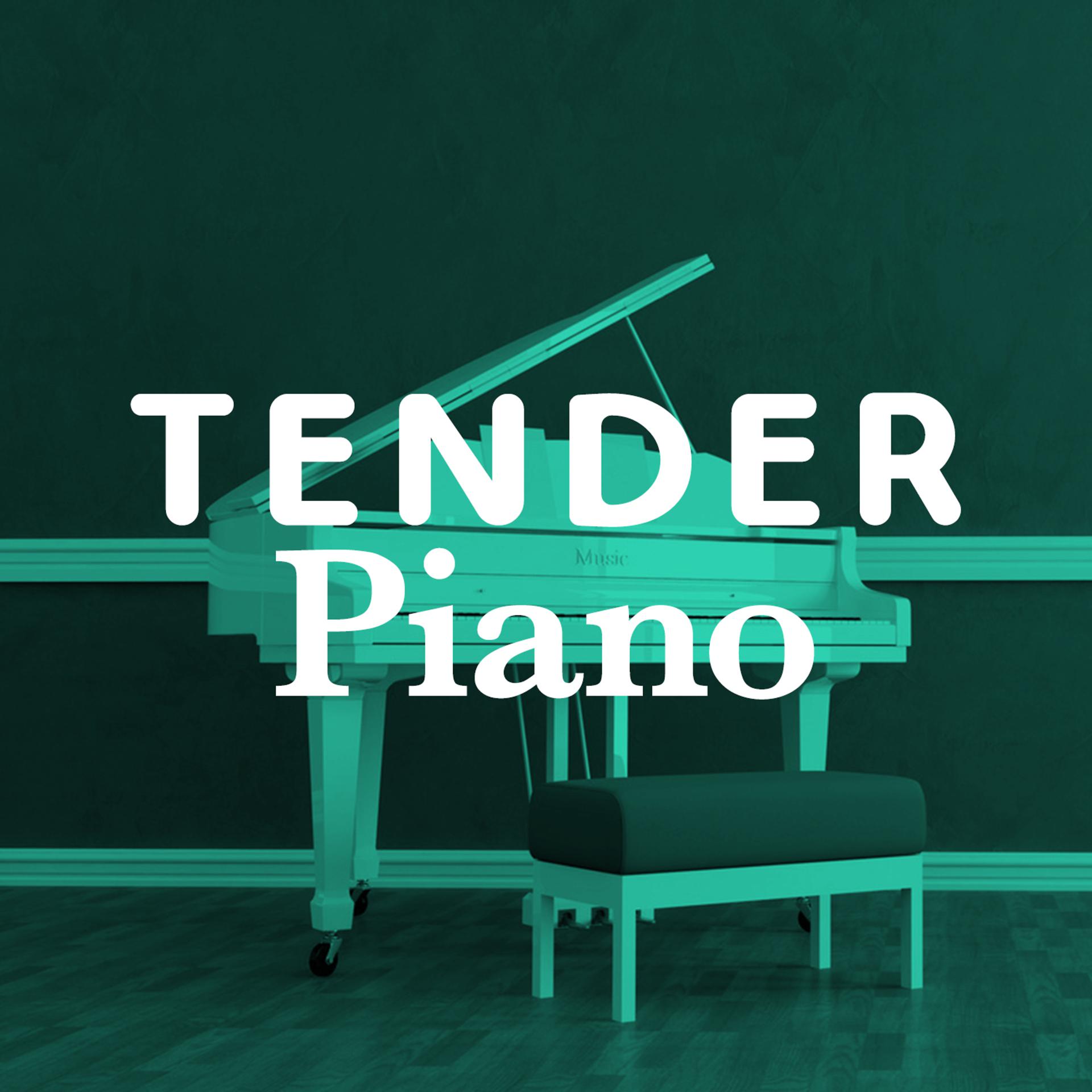 Постер альбома Tender Piano
