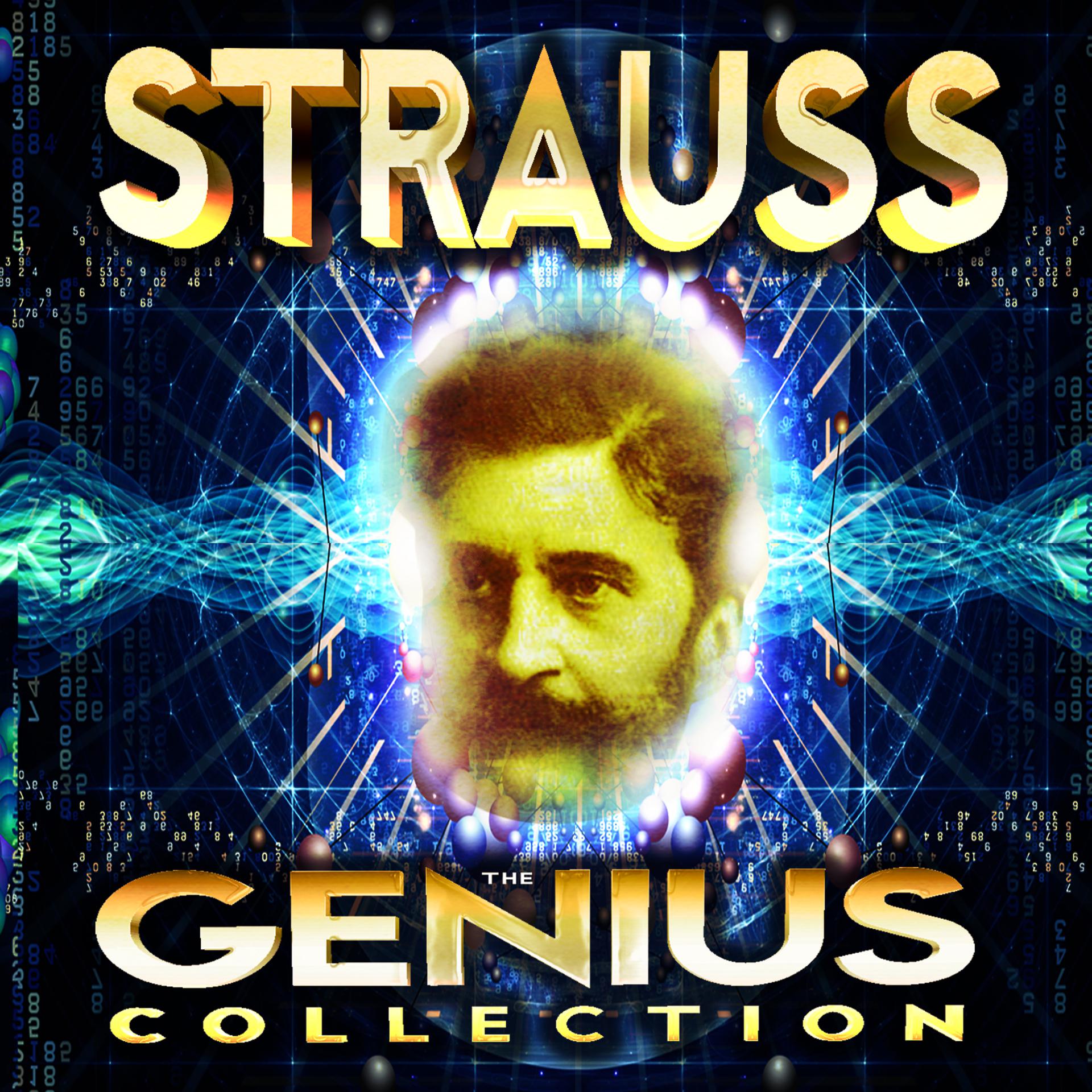 Постер альбома Strauss - The Genius Collection