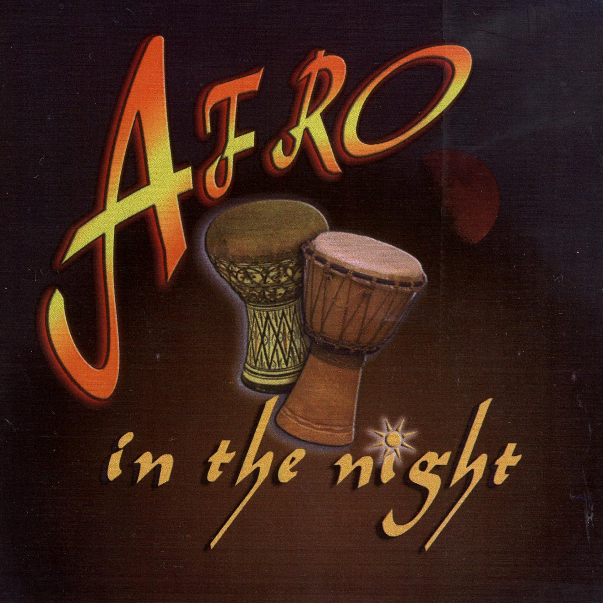 Постер альбома Afro In The Night