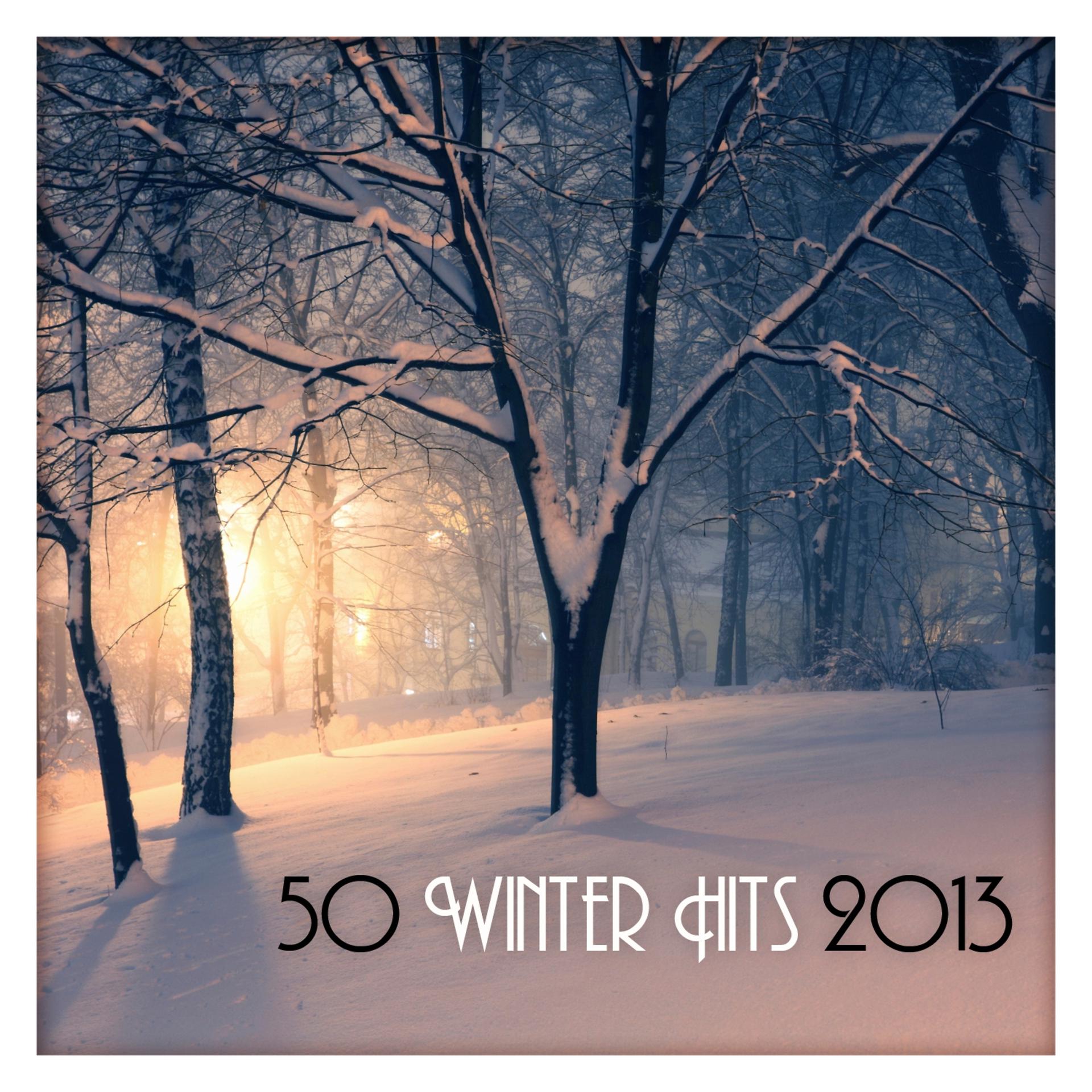 Постер альбома 50 Winter Hits 2013