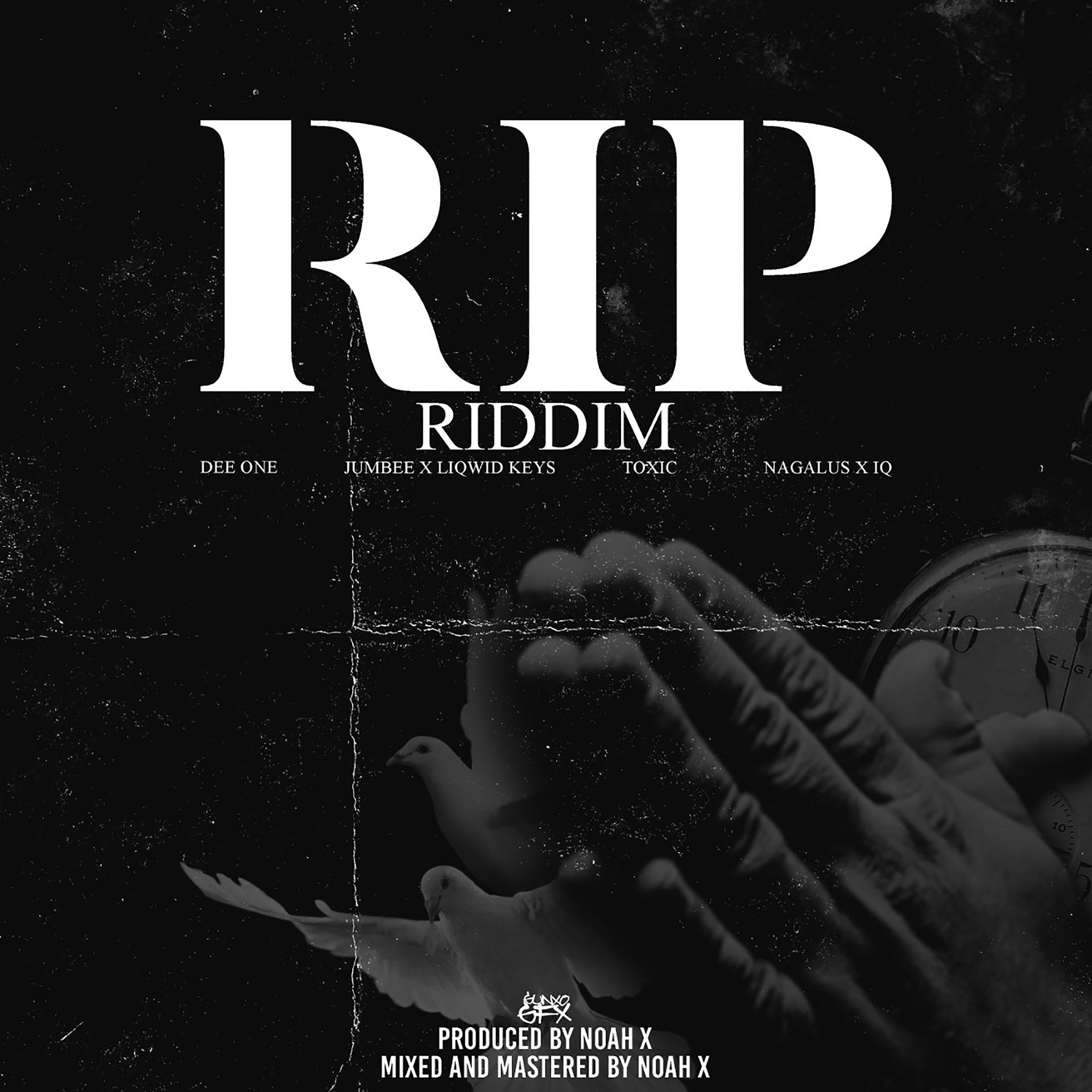 Постер альбома R.I.P Riddim