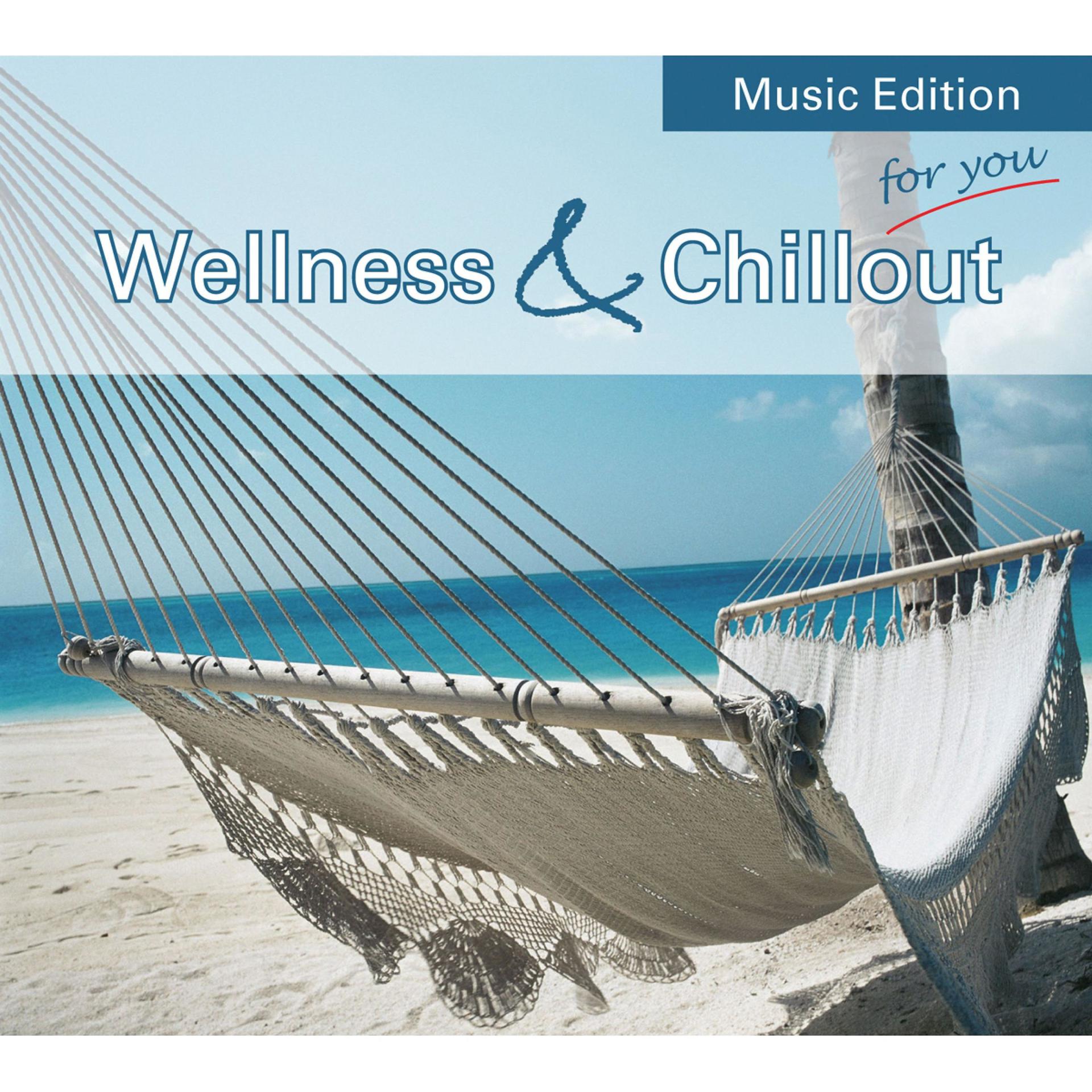 Постер альбома Wellness & Chillout