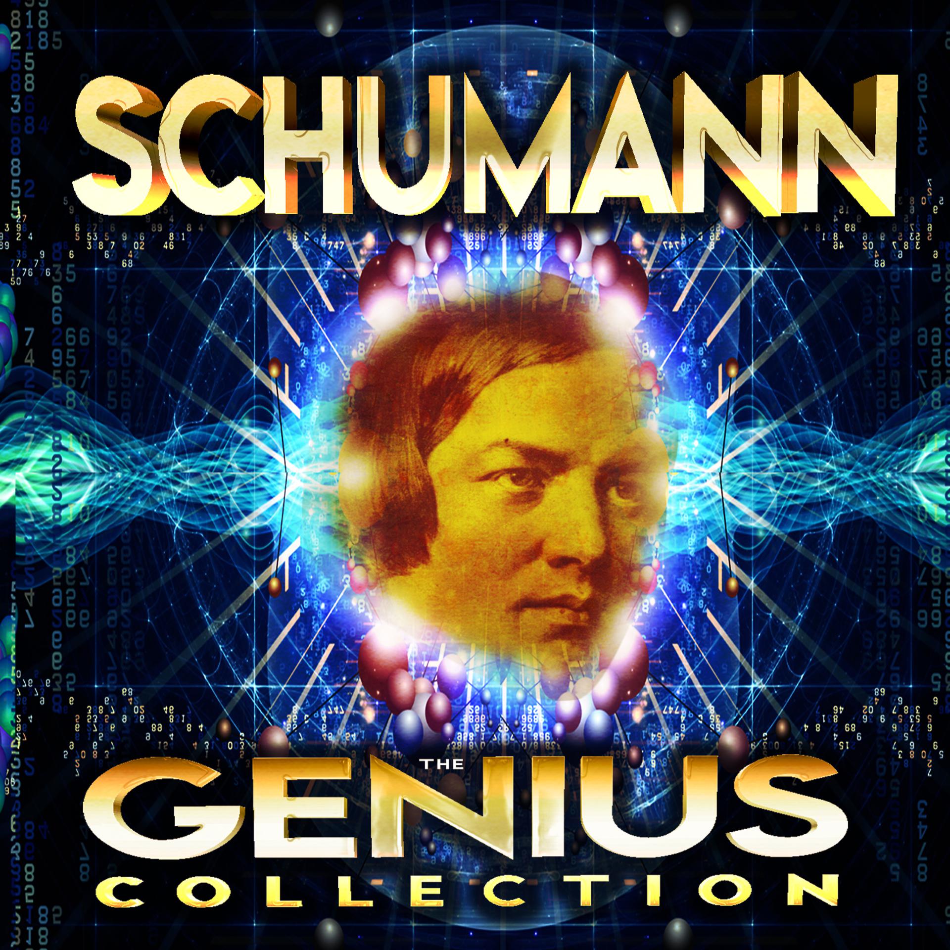 Постер альбома Schumann - The Genius Collection