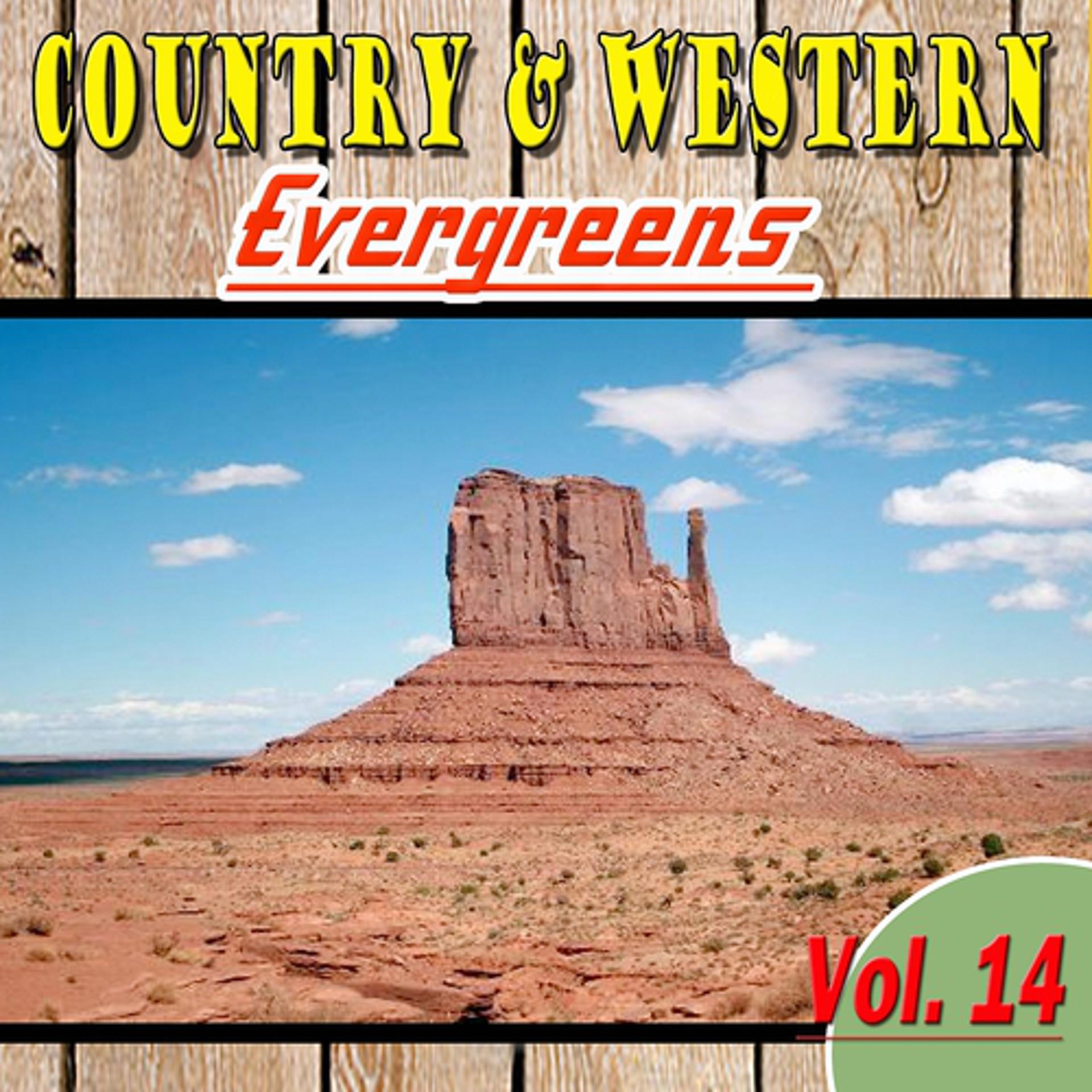 Постер альбома Country & Western Evergreens, Vol. 14