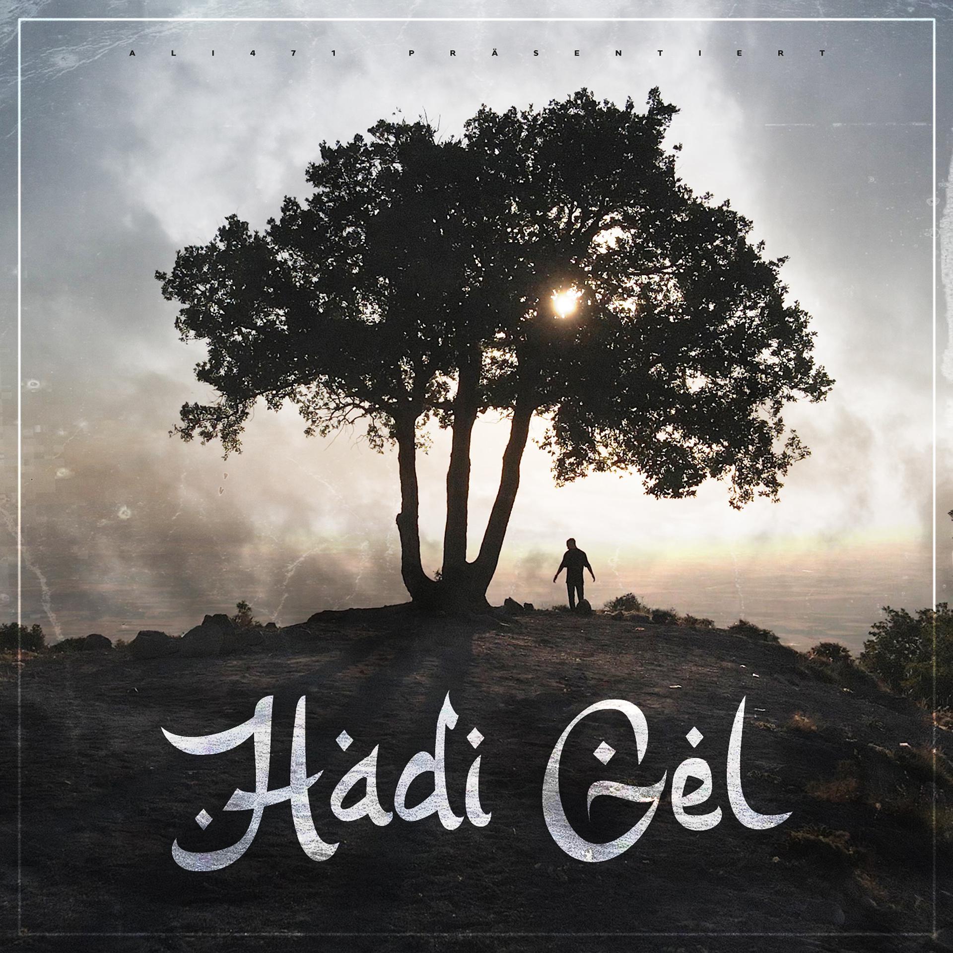 Постер альбома Hadi Gel