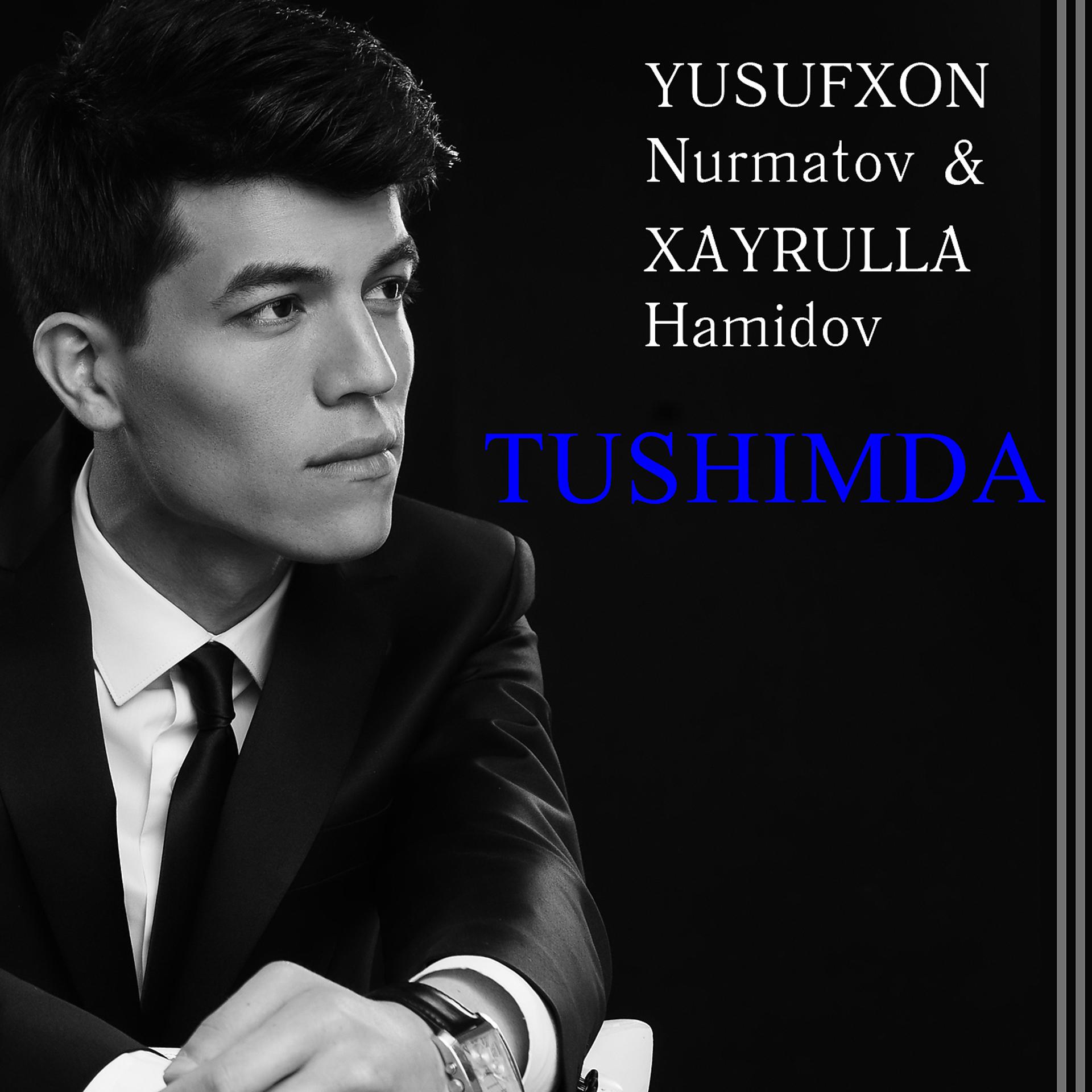 Постер альбома Tushimda
