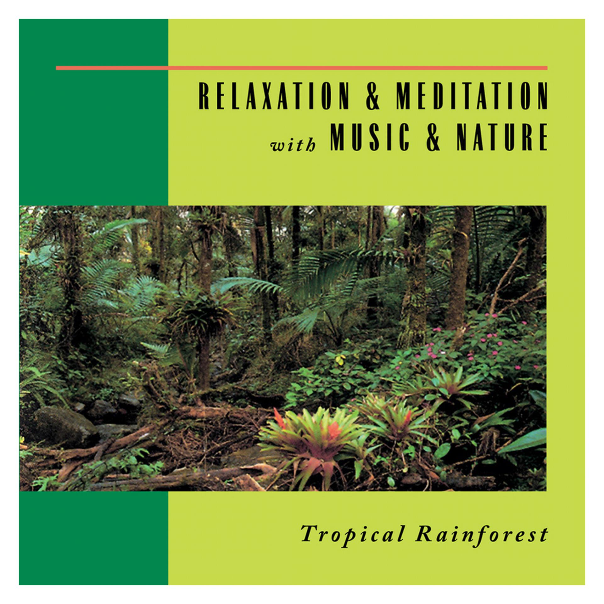 Постер альбома Tropical Rainforest