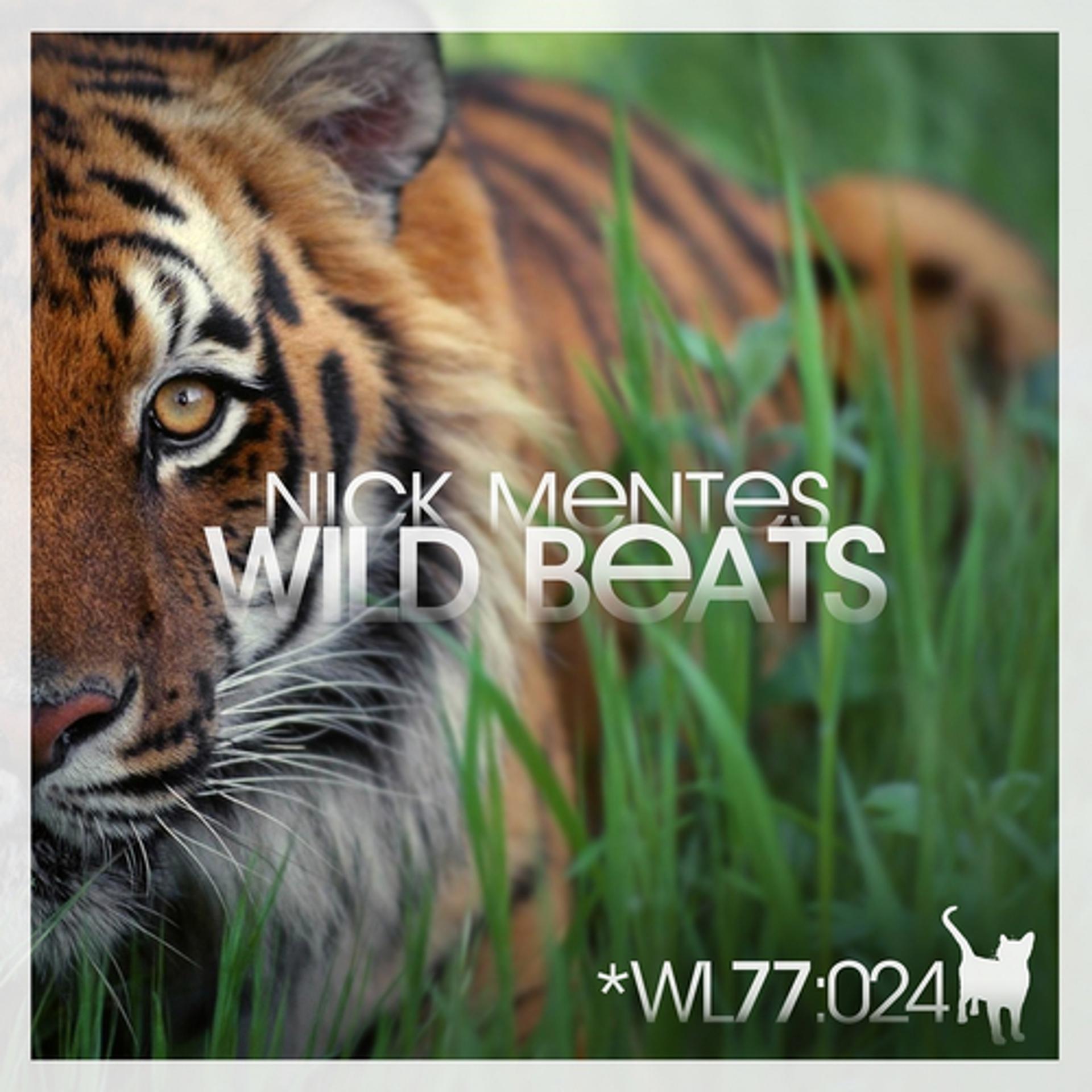 Постер альбома Wild Beats