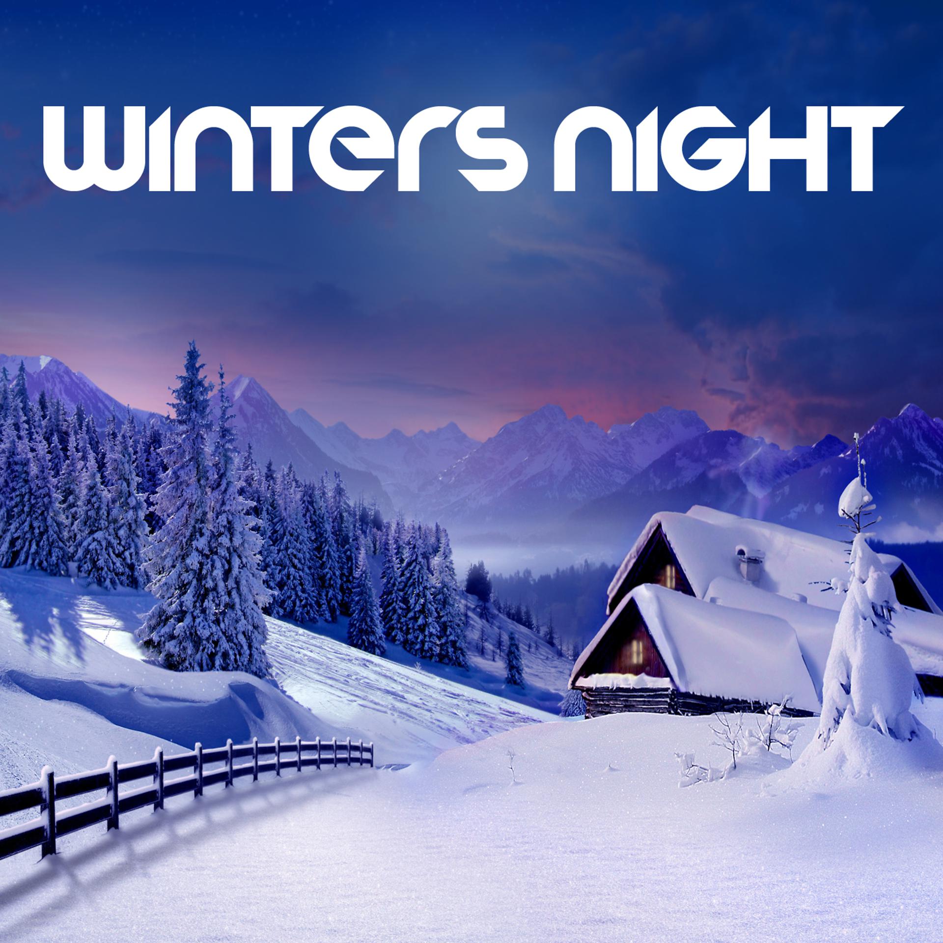 Постер альбома Winters Night