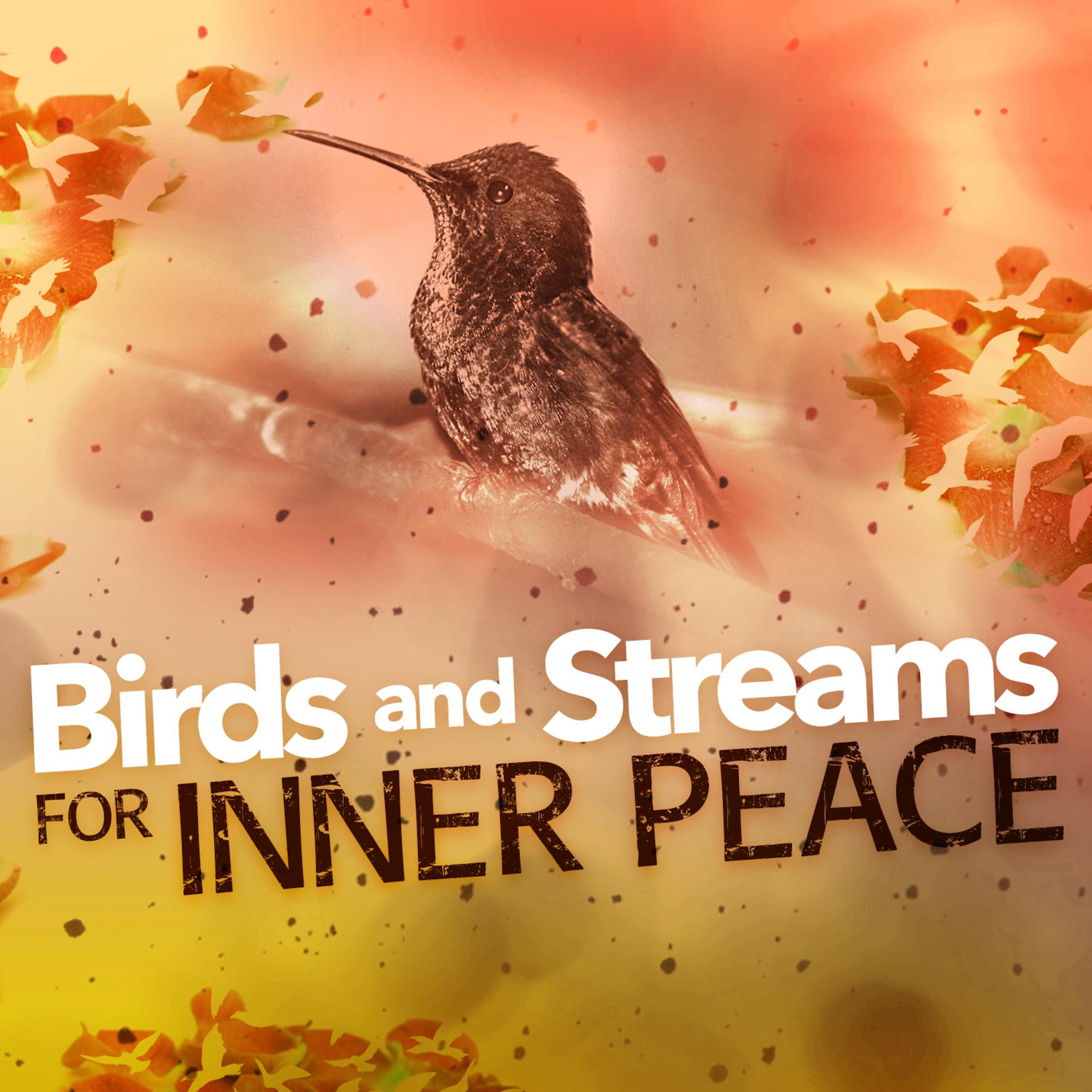Постер альбома Birds and Streams for Inner Peace