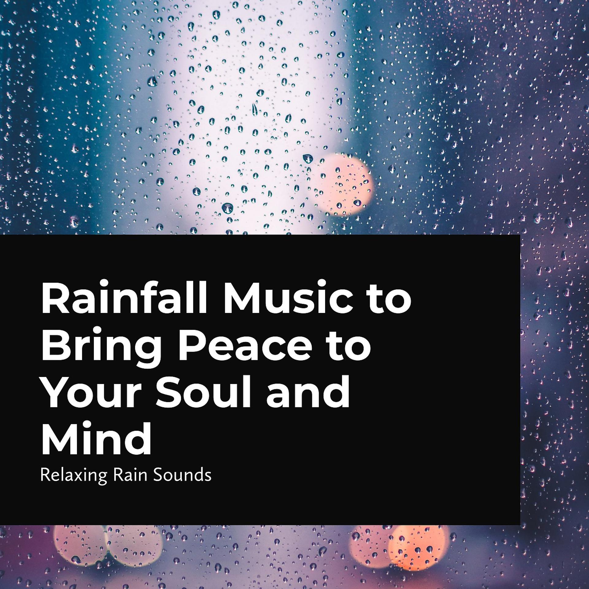 Постер альбома Rainfall Music to Bring Peace to Your Mind and Soul