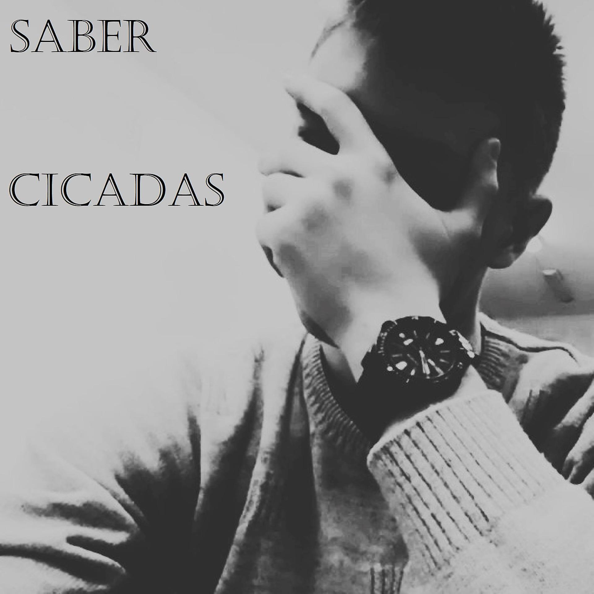 Постер альбома CiCaDaS