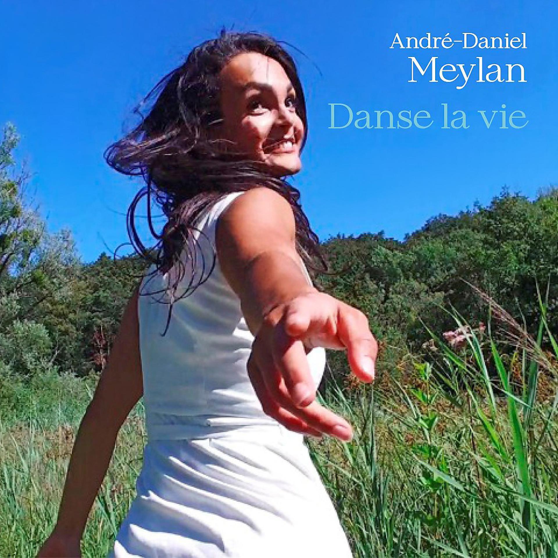 Постер альбома Danse la vie