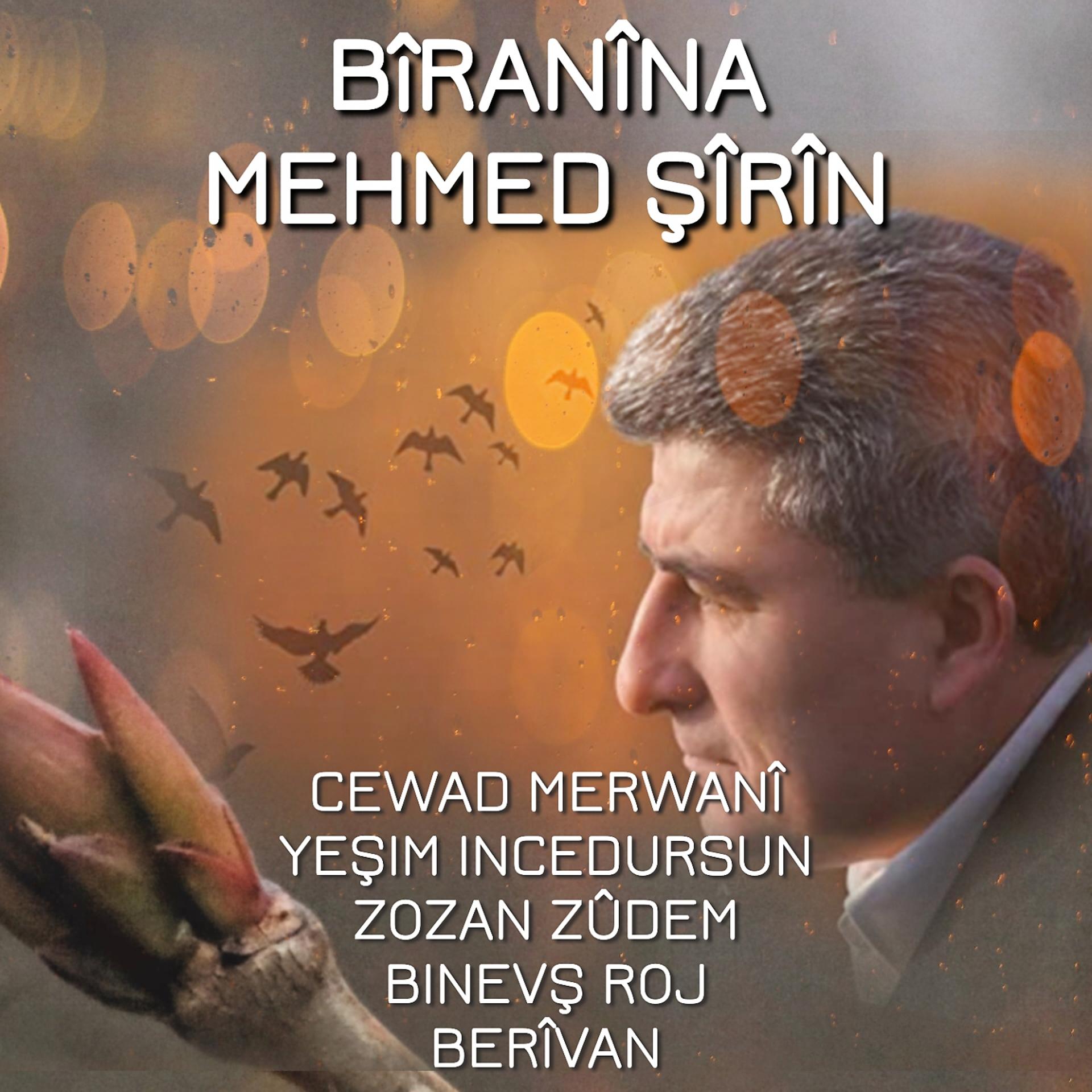 Постер альбома Bîranîna Mehmed Şîrîn