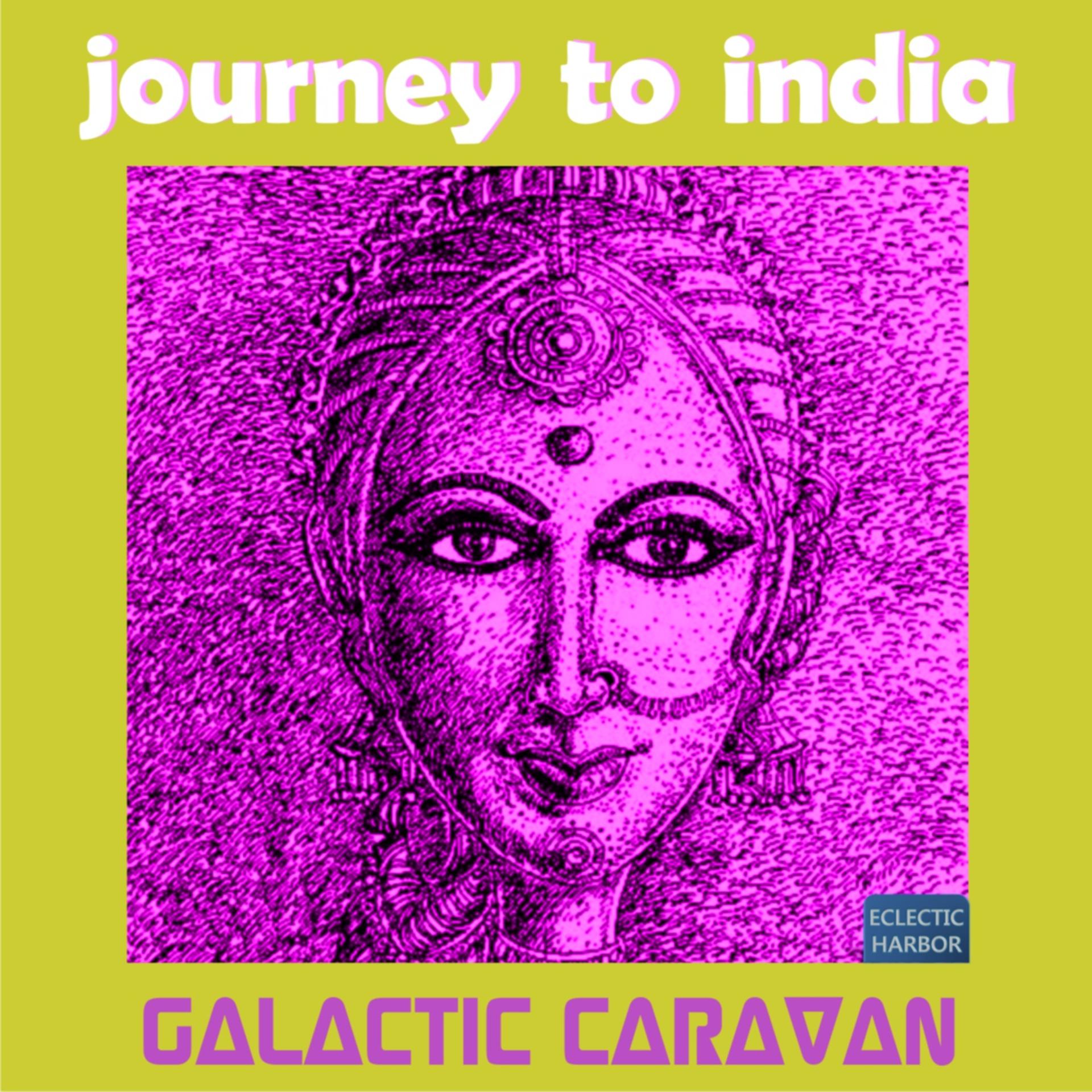 Постер альбома Journey to India (Intergalactic Bellydance - World Release)