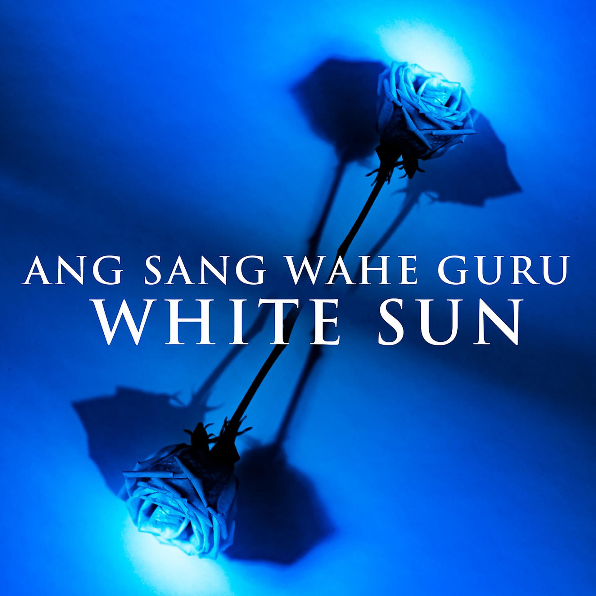 Постер альбома Ang Sang Wahe Guru