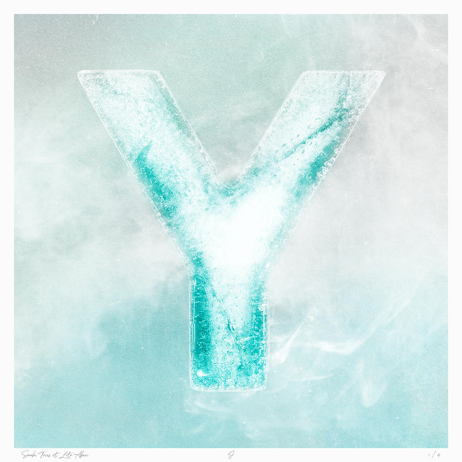 Постер альбома Y