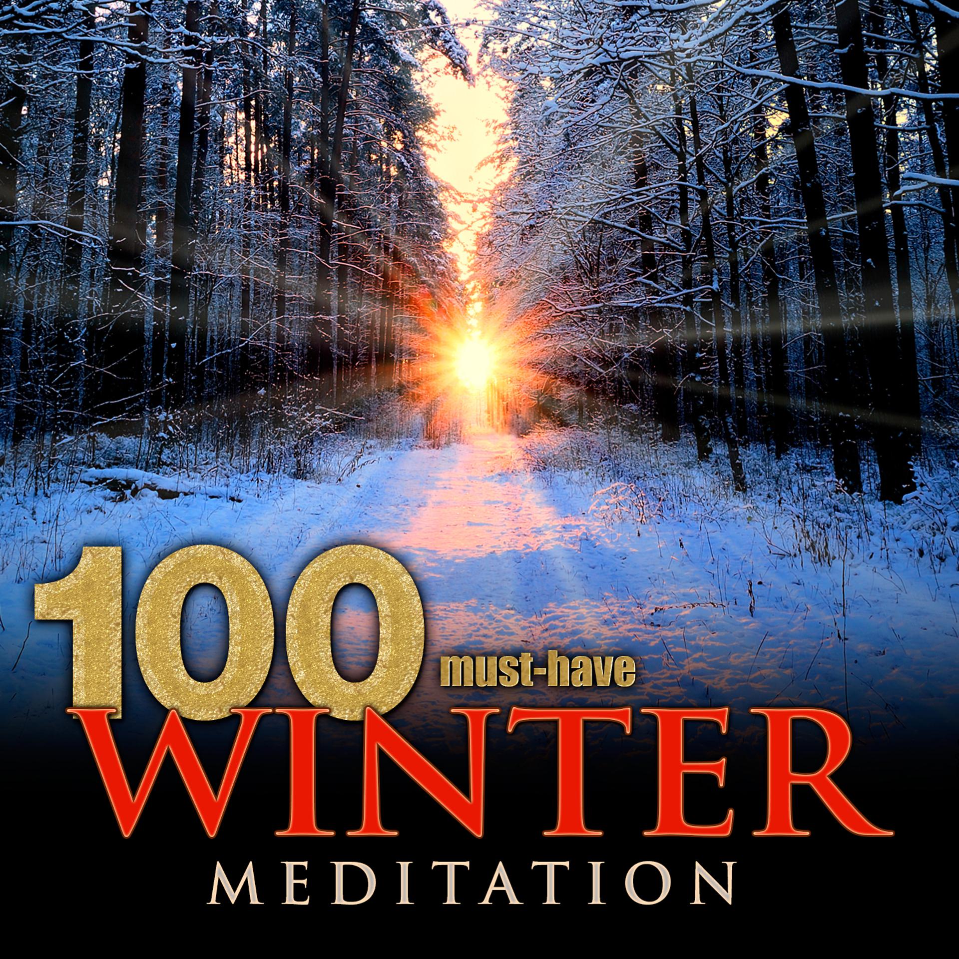 Постер альбома 100 Must-Have Winter Meditation
