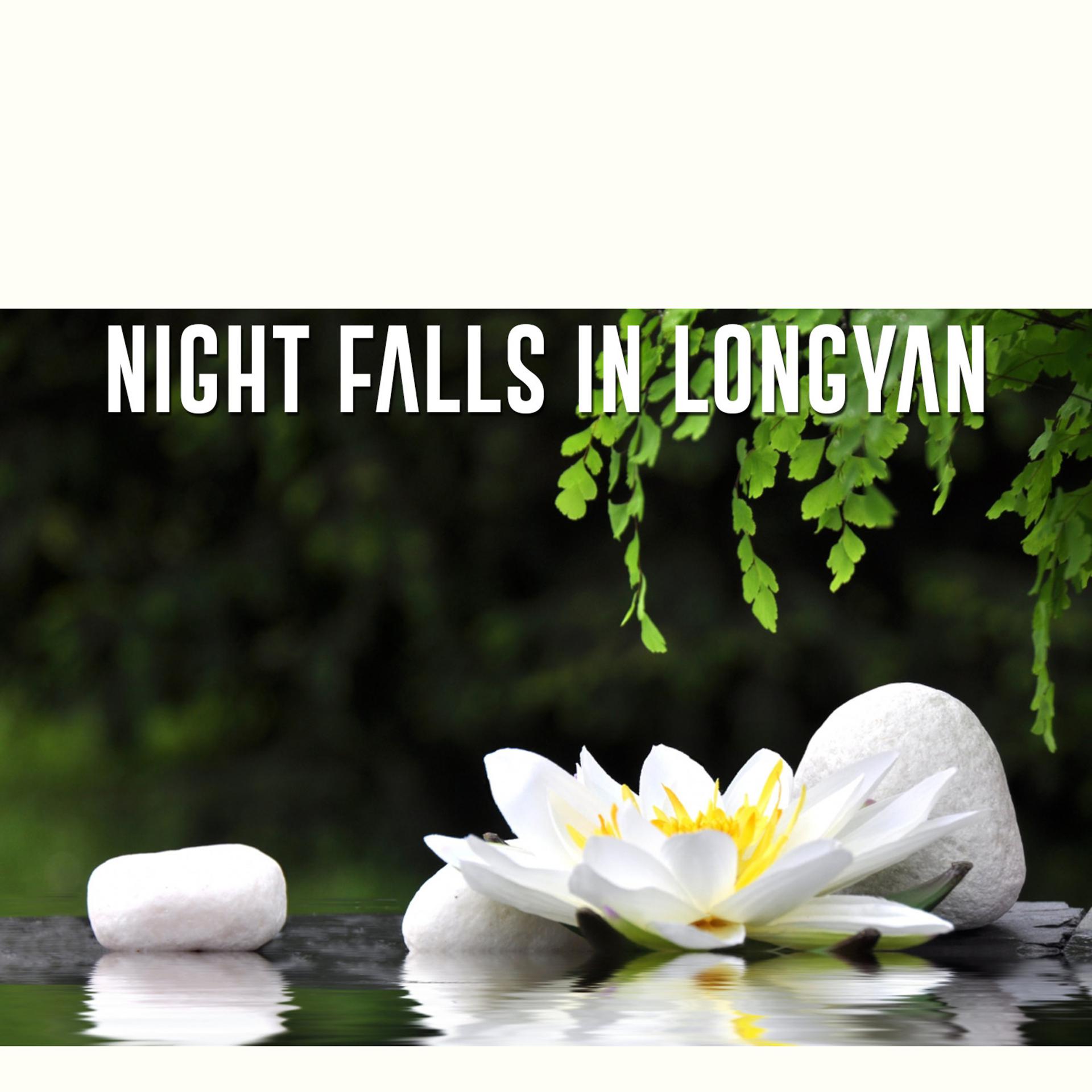 Постер альбома Night Falls in Longyan