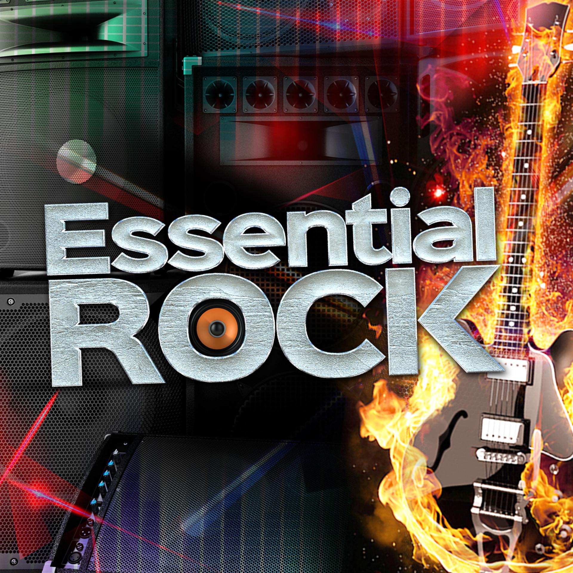 Постер альбома Essential Rock