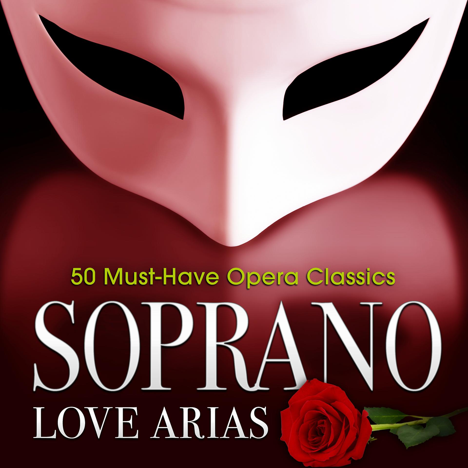 Постер альбома Soprano Love Arias: 50 Must-Have Opera Classics