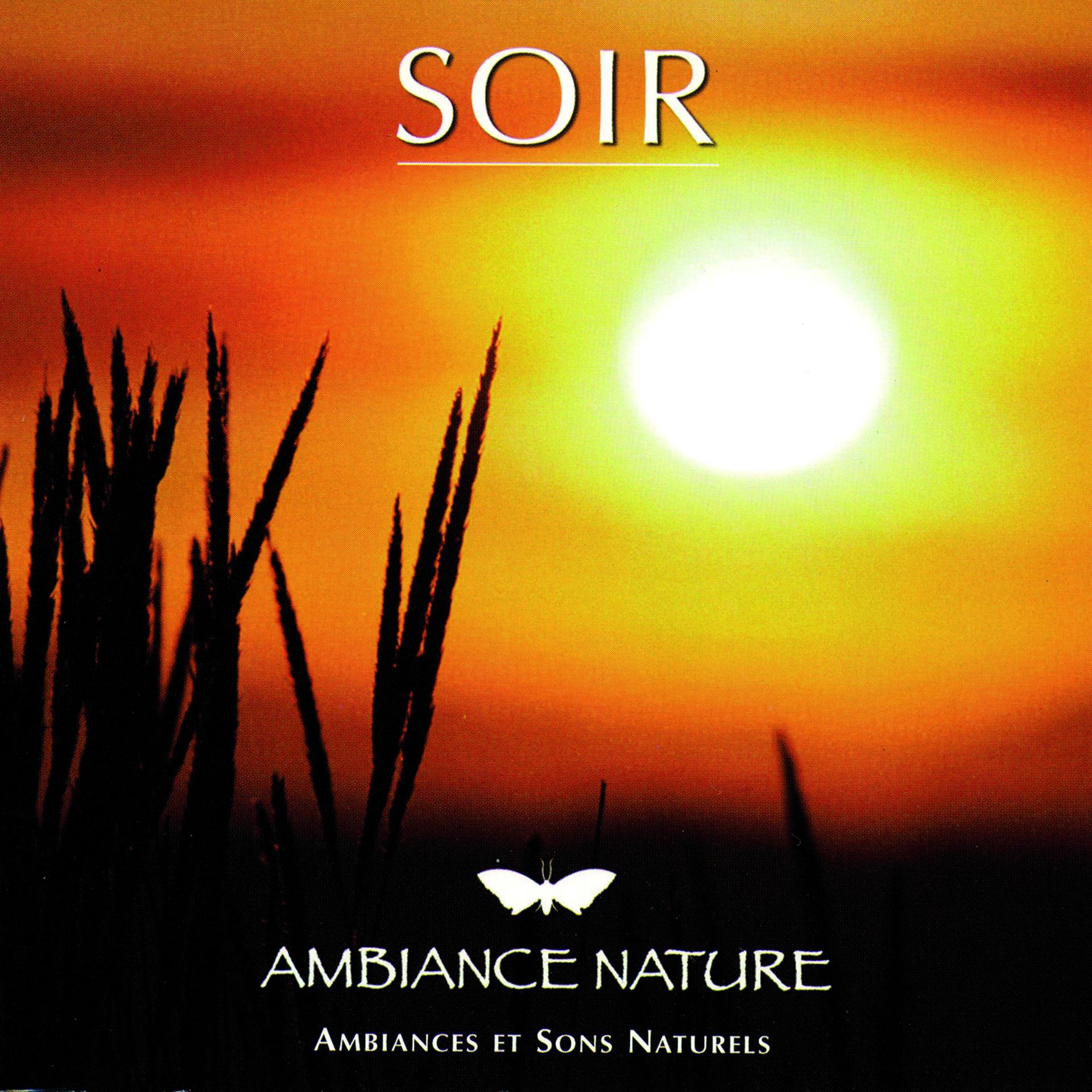 Постер альбома Ambiance Nature Soir