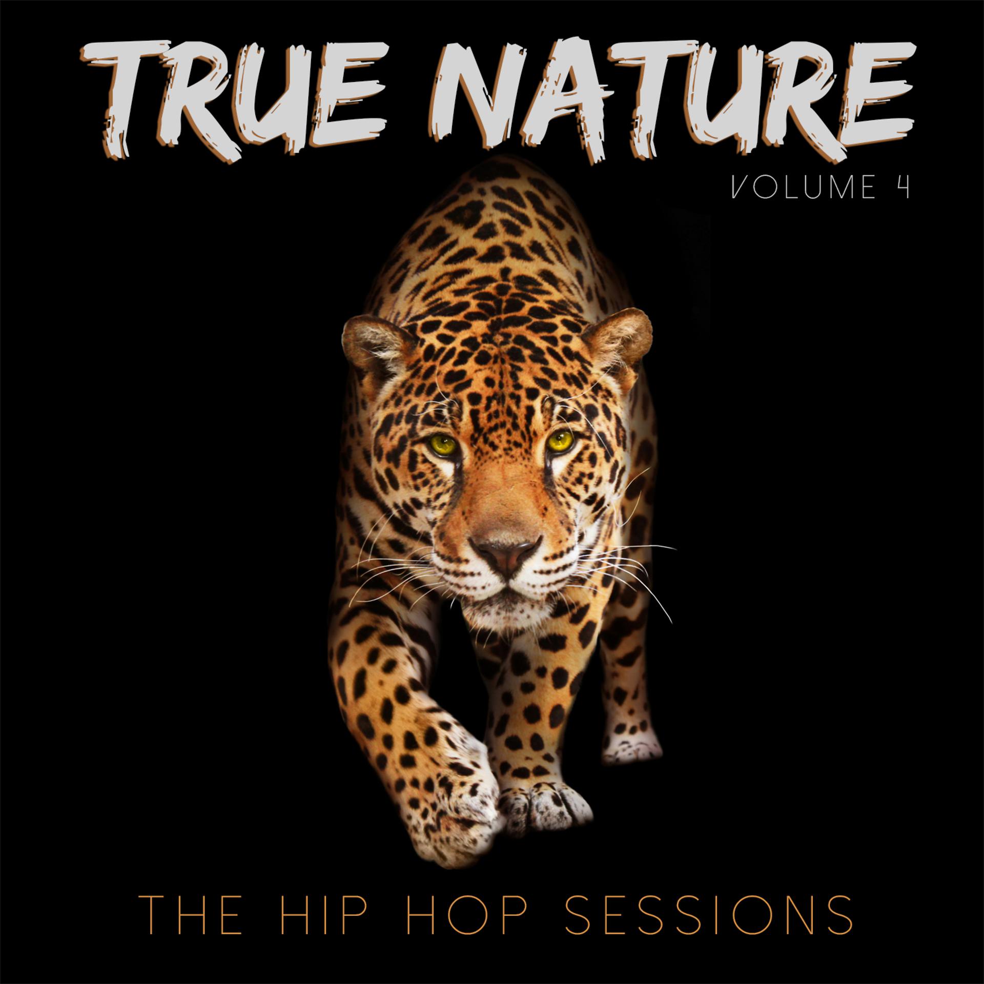 Постер альбома True Nature: The Hip Hop Sessions, Vol. 4