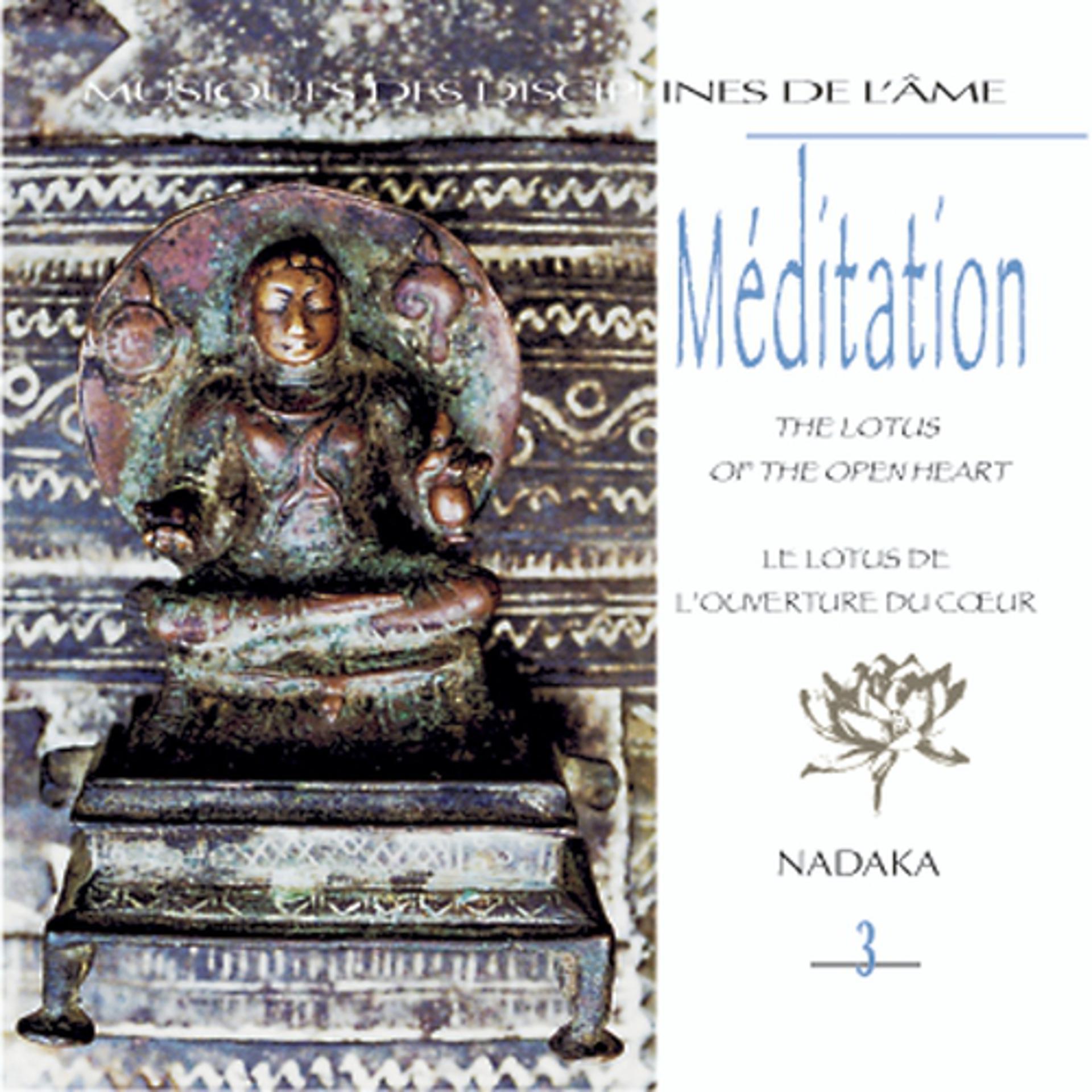Постер альбома Musiques des disciplines de l'âme: méditation 3