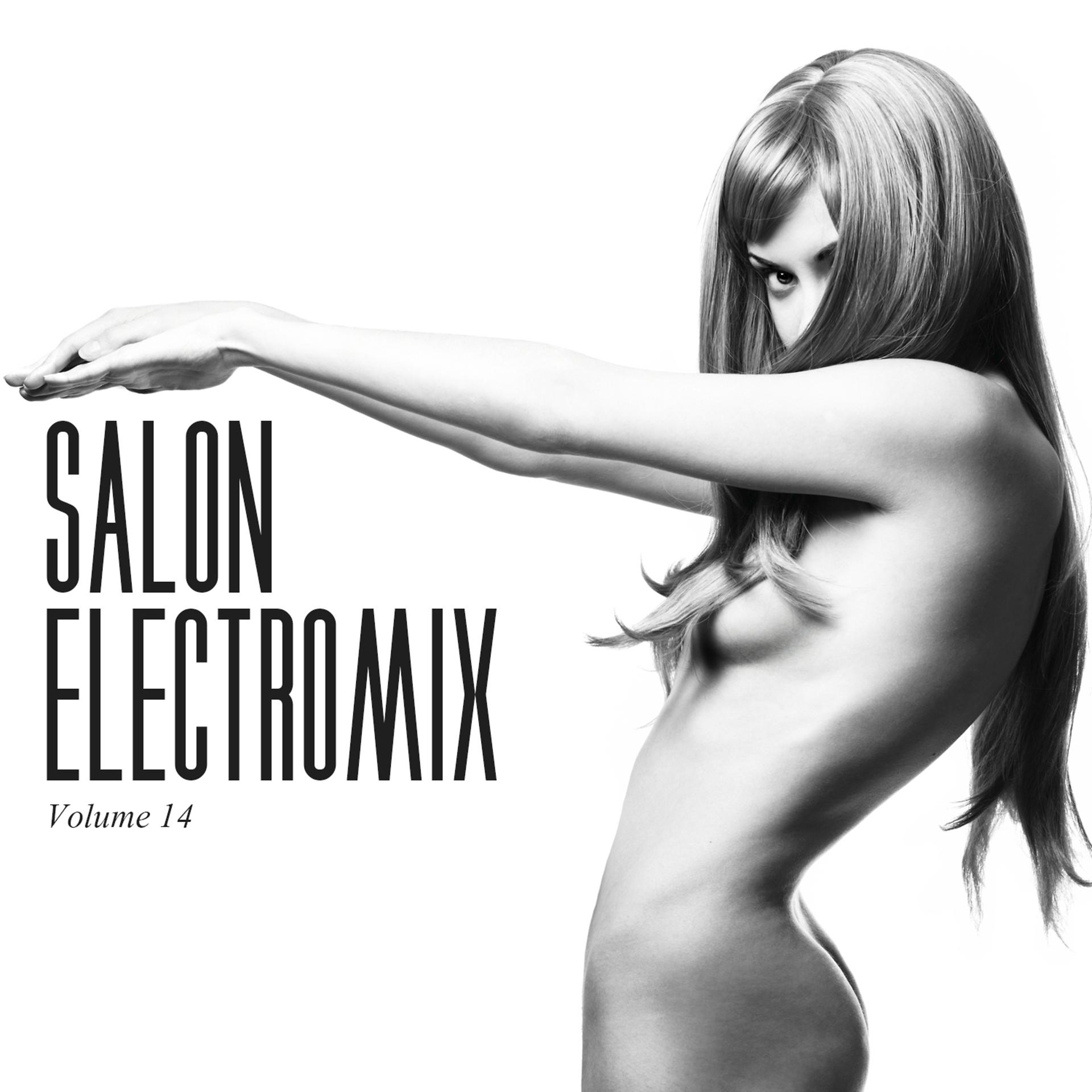 Постер альбома Salon Electromix, Vol. 14