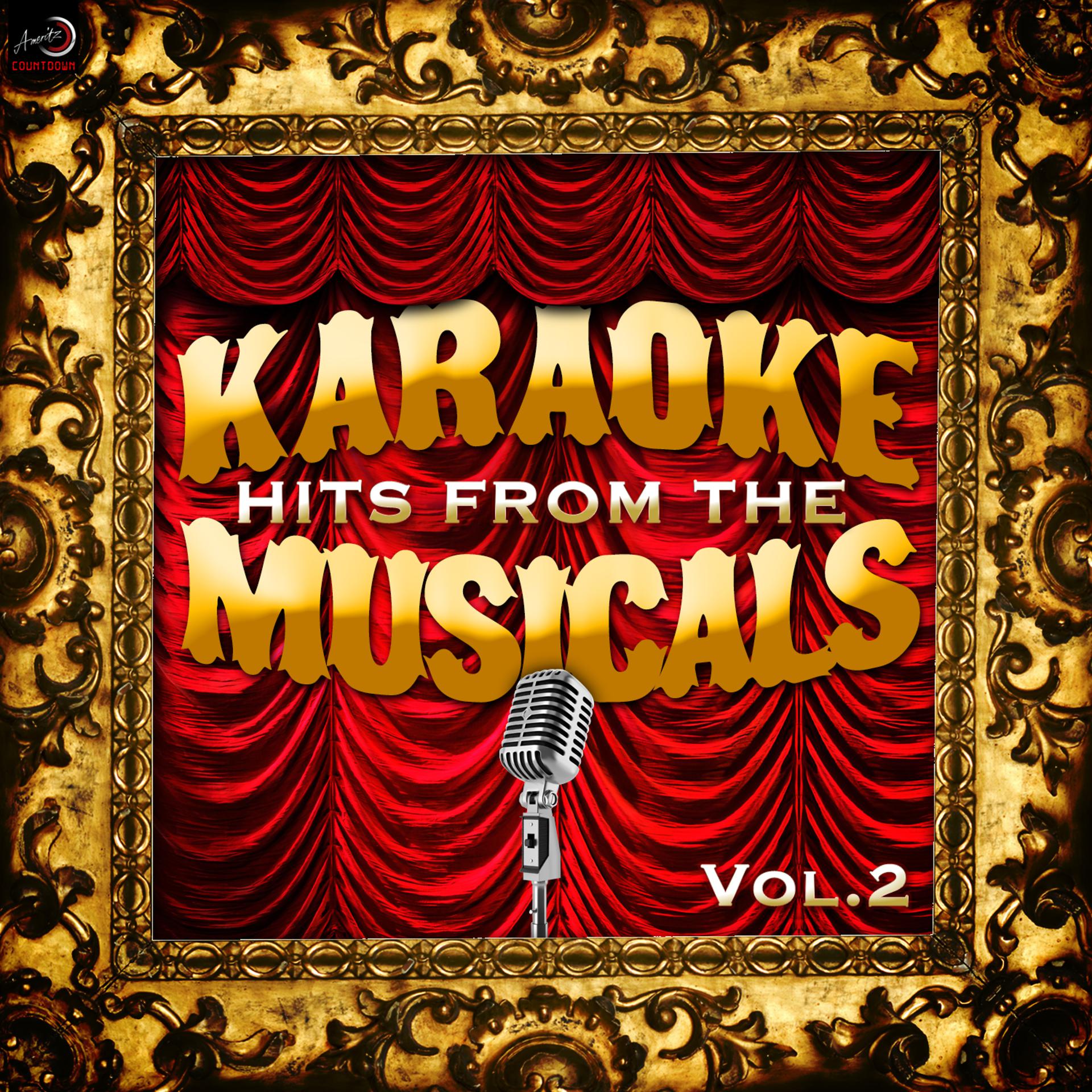 Постер альбома Karaoke - Hits from the Musicals, Vol. 2