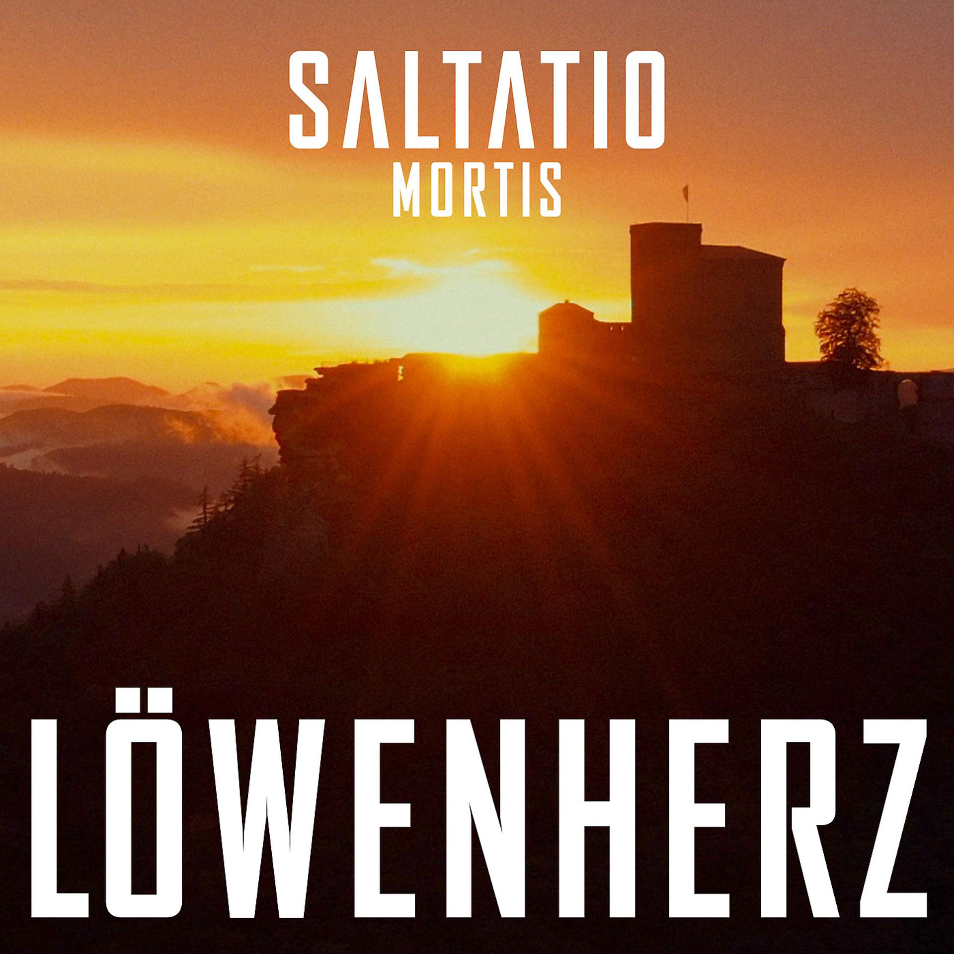 Постер альбома Löwenherz