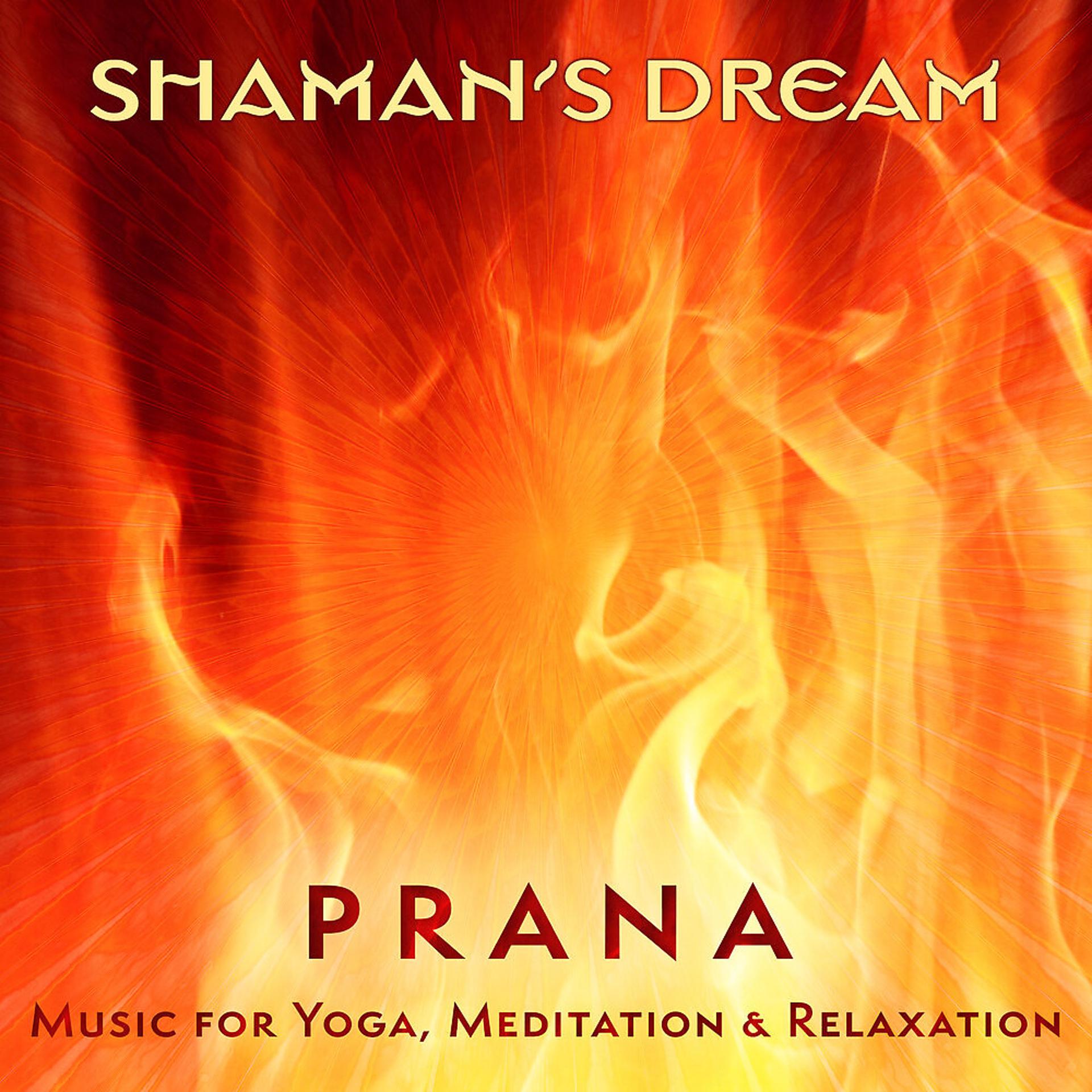Постер альбома Prana: Music for Yoga, Meditation & Relaxation