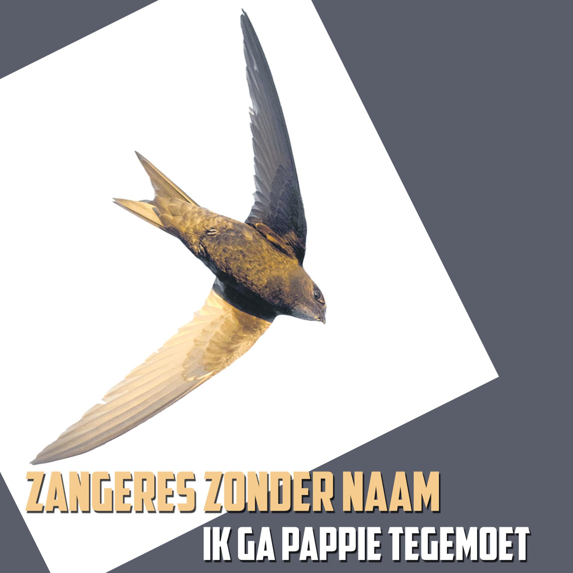 Постер альбома Ik Ga Pappie Tegemoet