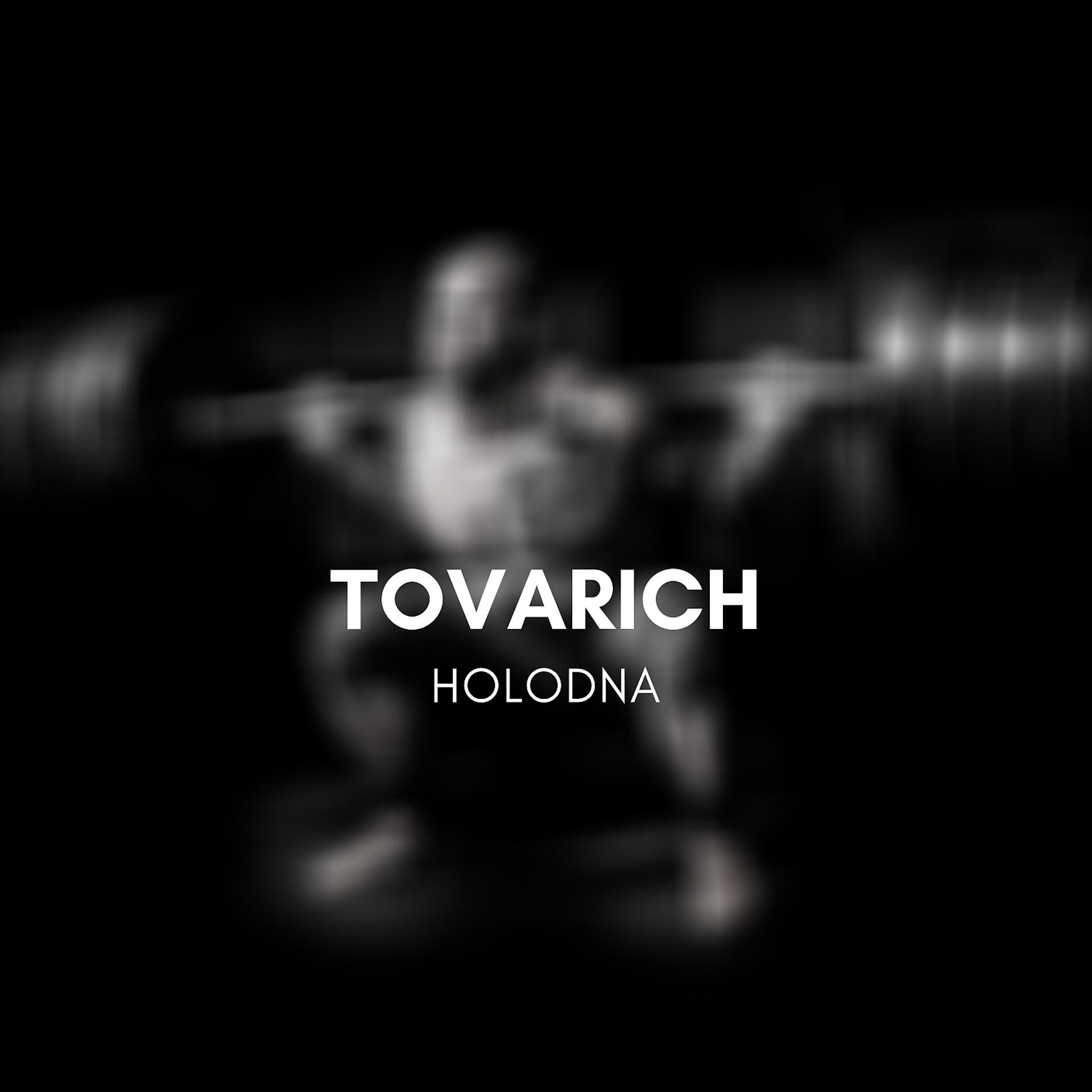 Постер альбома Tovarich